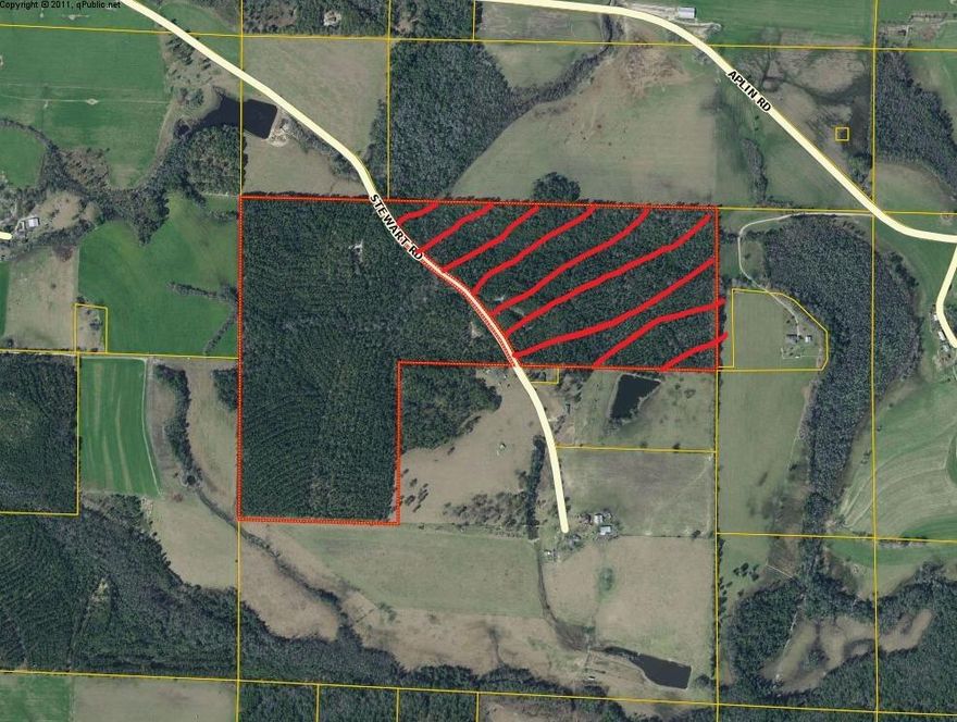 Great recreational tract in a beautiful area of the county. This tract is located in the Lakewood area, the highest point in Florida. Plenty of game, will make a hunting tract with deer and turkey prevalent in the area. Tract will be left with a residential cut on the planted pines of around 20 trees per acre.