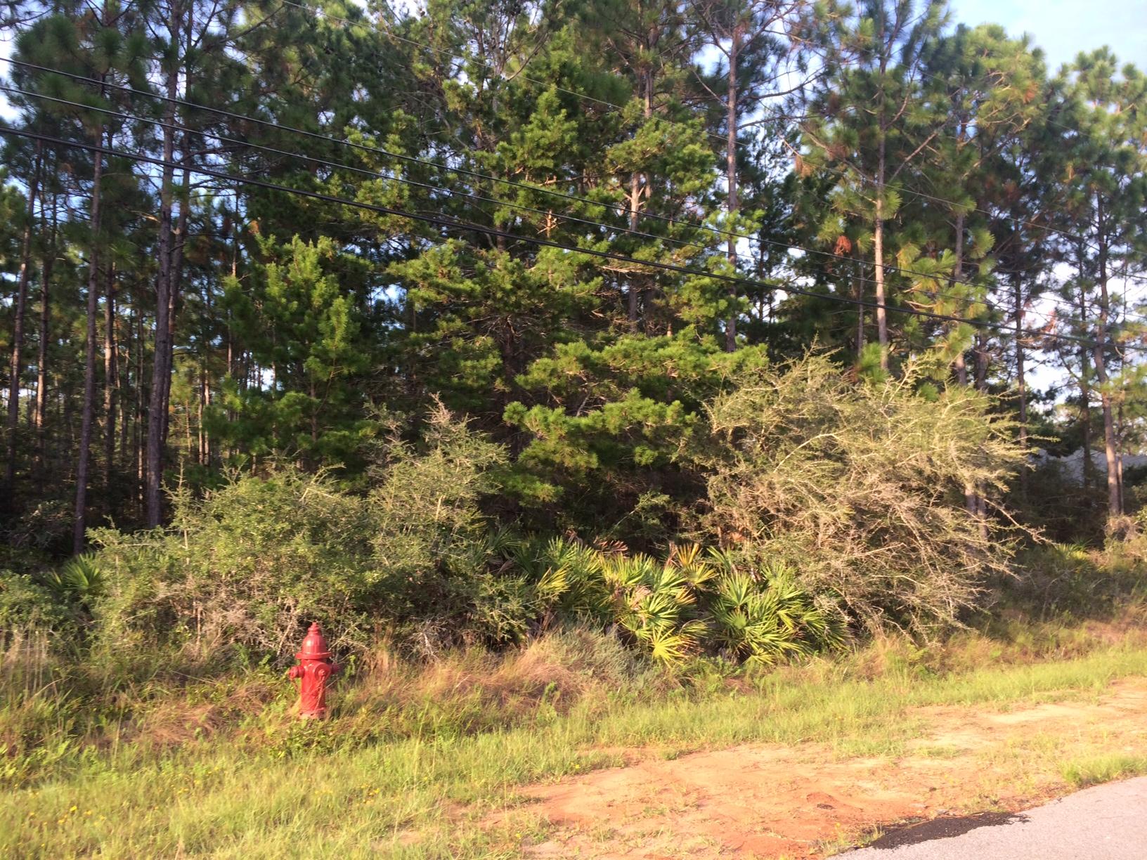 HOLLEY BY THE SEA - Land