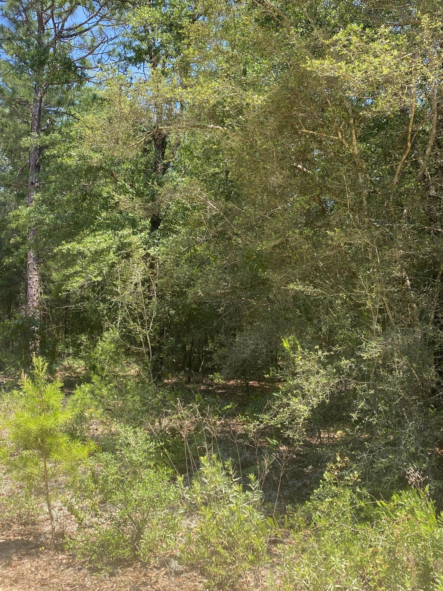 LOT 1 BLK 10 OAKWOOD HILLS - Land