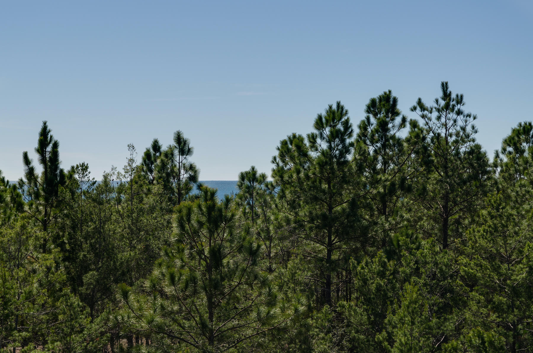 BEACH VIEW HEIGHTS UNREC - Land