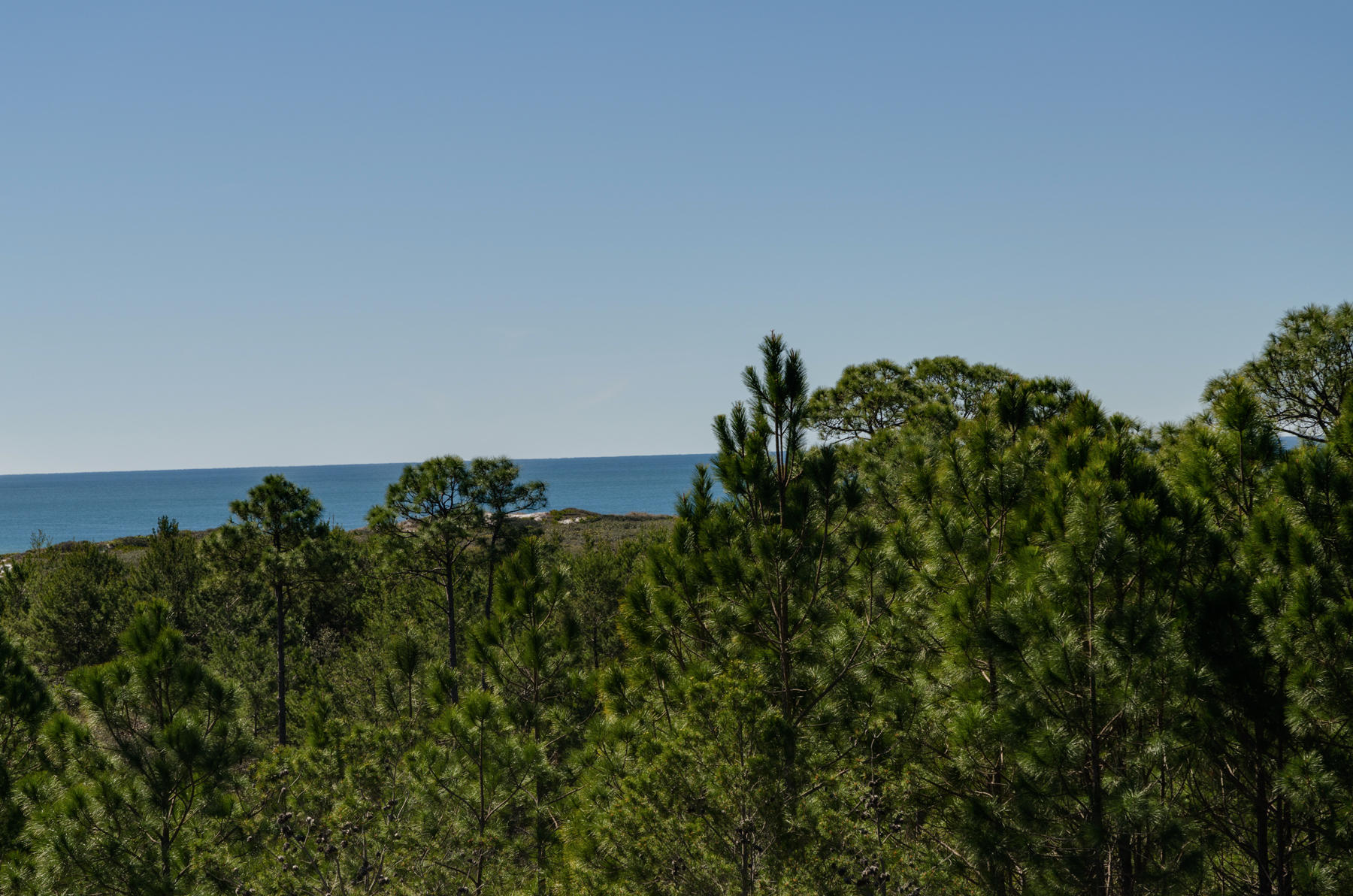 BEACH VIEW HEIGHTS UNREC - Land