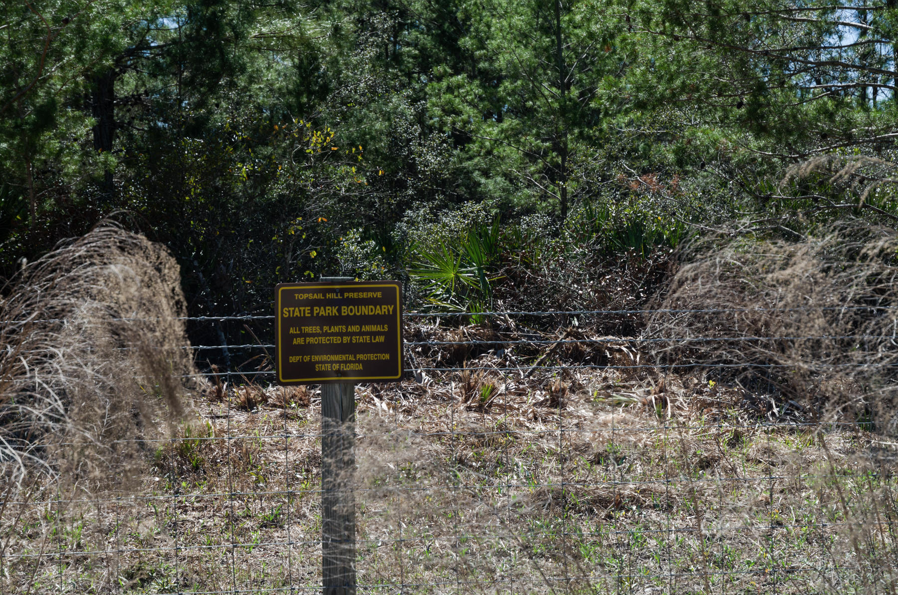 BEACH VIEW HEIGHTS UNREC - Land