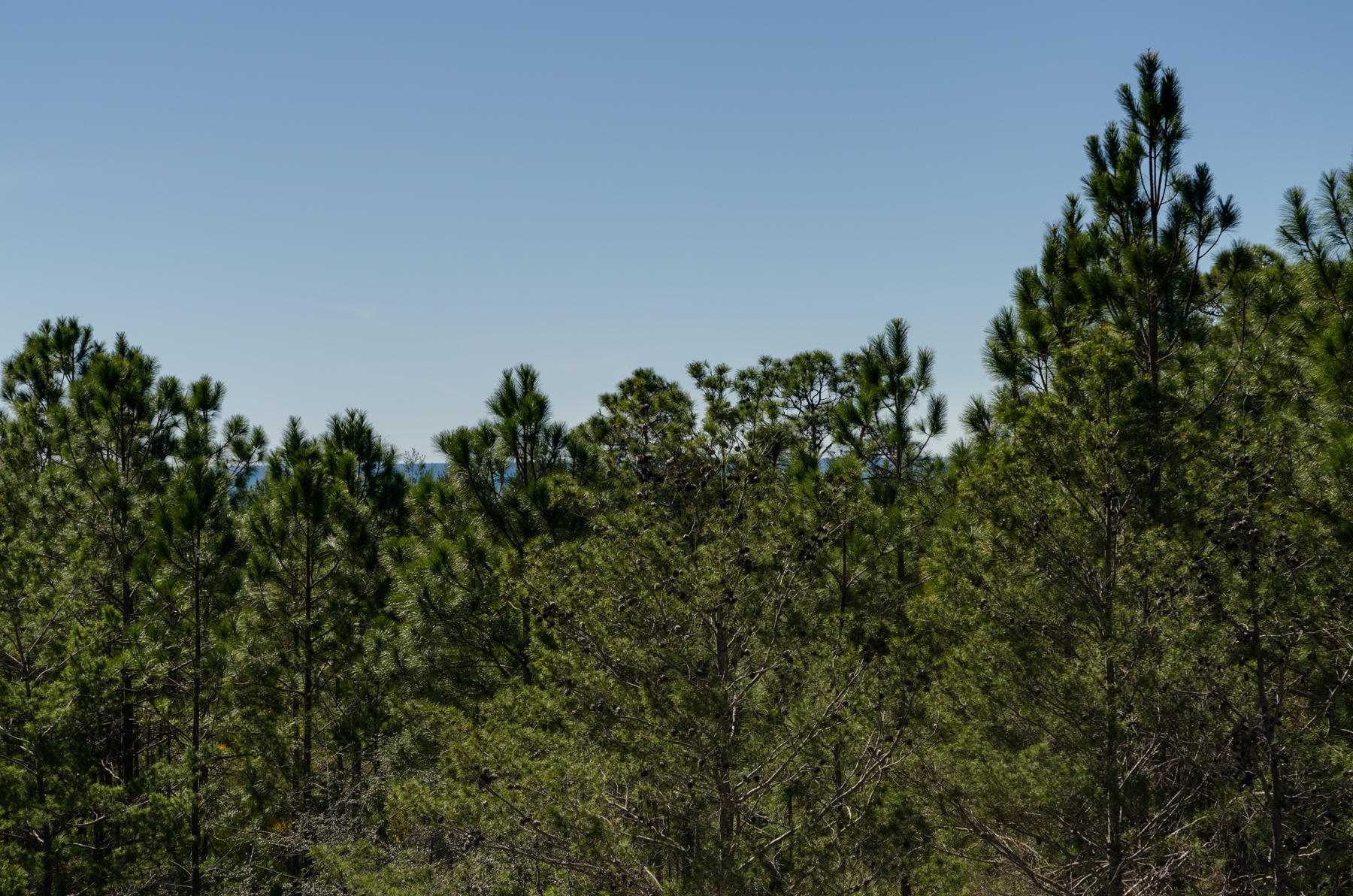 BEACH VIEW HEIGHTS UNREC - Land