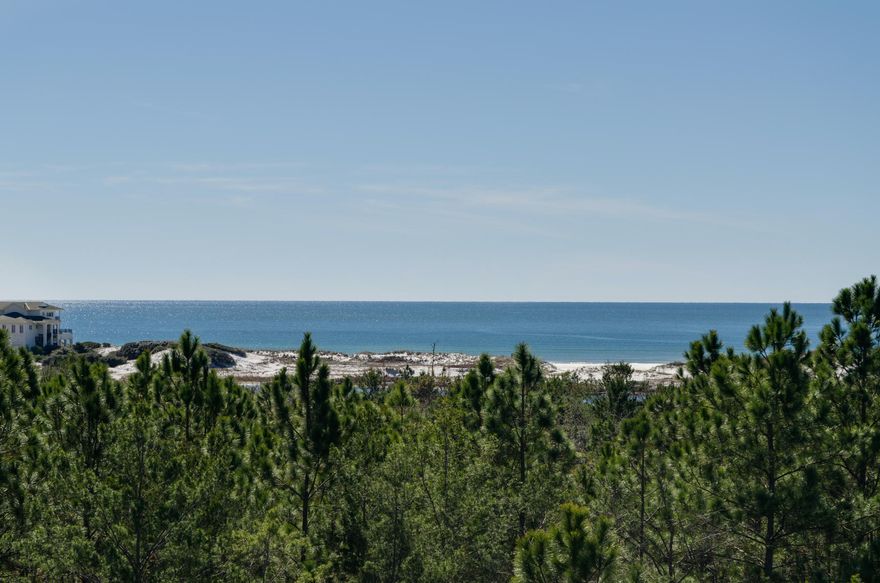 South of 30A! Build your gulf view home on this one-third acre lot! Situated directly across from Topsail Hill Preserve State Park, views can be had from a third floor like neighboring multi-million dollar homes. We brought up a photography boom to the same level as third floor on neighbor's home (about 27' up) and just look at the vistas of the Gulf of Mexico. Dream of hearing the birds and looking over the state forest, seeing and listening to the gulf waves. Old tear-down house on property. This quaint neighborhood feels like real Florida. Per Walton County a new home can go up 50' and have adjacent 800 square foot structure, subject to buyer verification directly with Walton County. Buyer to independently assessview potential. We can recommend builder, designer for your home plan.