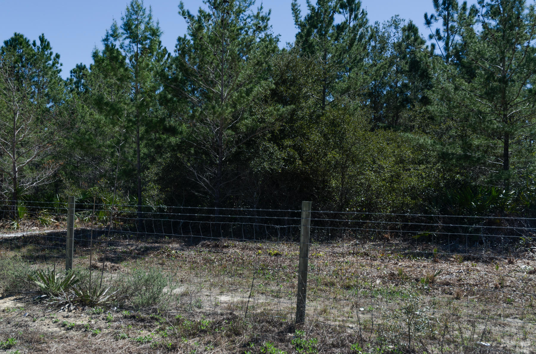 BEACH VIEW HEIGHTS UNREC - Land