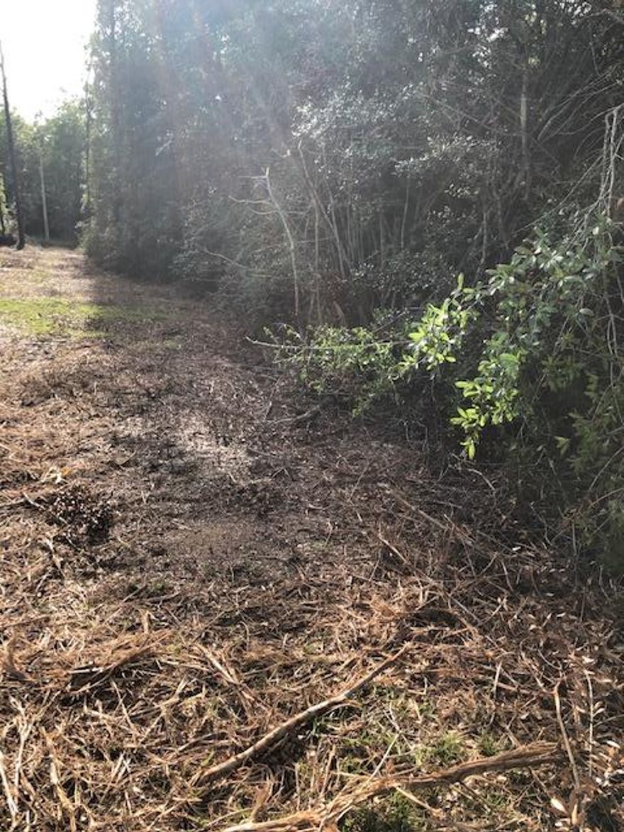 This is an AS - IS Deal -  the Log Cabin needs Repairs.   Awesome DEAL for the 8.4 Acres of LAND located just off Highway 90 near Highway 285.  Plenty of Privacy - great spot for hunting/shooting.  With repairs this the Log Cabin is ideal for living, relaxing and enjoying nature.  Log Cabin has spacious decks and covered porch.  Open living area, has wood burning fireplace, kitchen has small island/breakfast bar. Big area for storage in the one car garage. It is very secluded yet close to neighboring cities.  Great location short distance from Crestview, Defuniak Springs or Niceville.   This log cabin home is Sold AS - IS and may not qualify for financing. Cash Deal would make this happen.