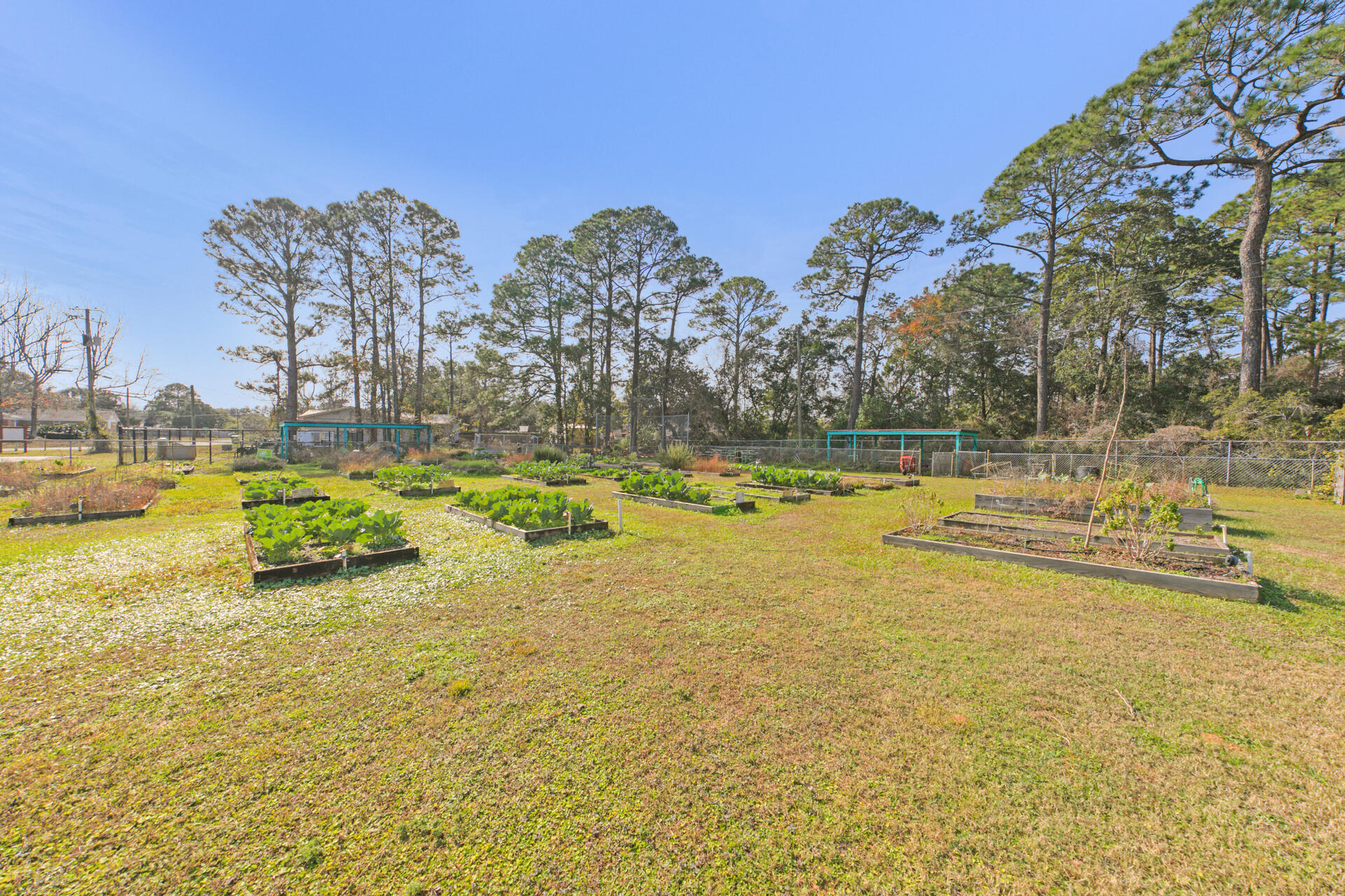 SPRINGDALE S/D LOT 19 BLK 5 - Residential