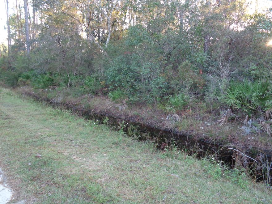 Large, wooded lot in Historic Pt Washington! No HOA, no buildout times with public utilities available. Current wetland and survey available. ***Buyer is responsible for personally verifying details about this property. Any information contained in this listing is believed to be accurate but is not guaranteed.***