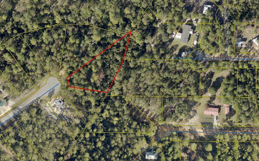 NICE LOT ON A CUL-DE-SAC in MOSSY HEAD. This pie-shaped lot on a paved road in a quiet cul-de-sac has plenty of room for a mobile home or to build your dream house. There is Mossy Head Water available down the street, but the tap fee is due and a septic tank and power pole would be needed. The acreage is in question, and a survey is currently being done to find out the exact acreage. Buyer is responsible for verification of all dimensions and suitability for intended use at buyer expense.