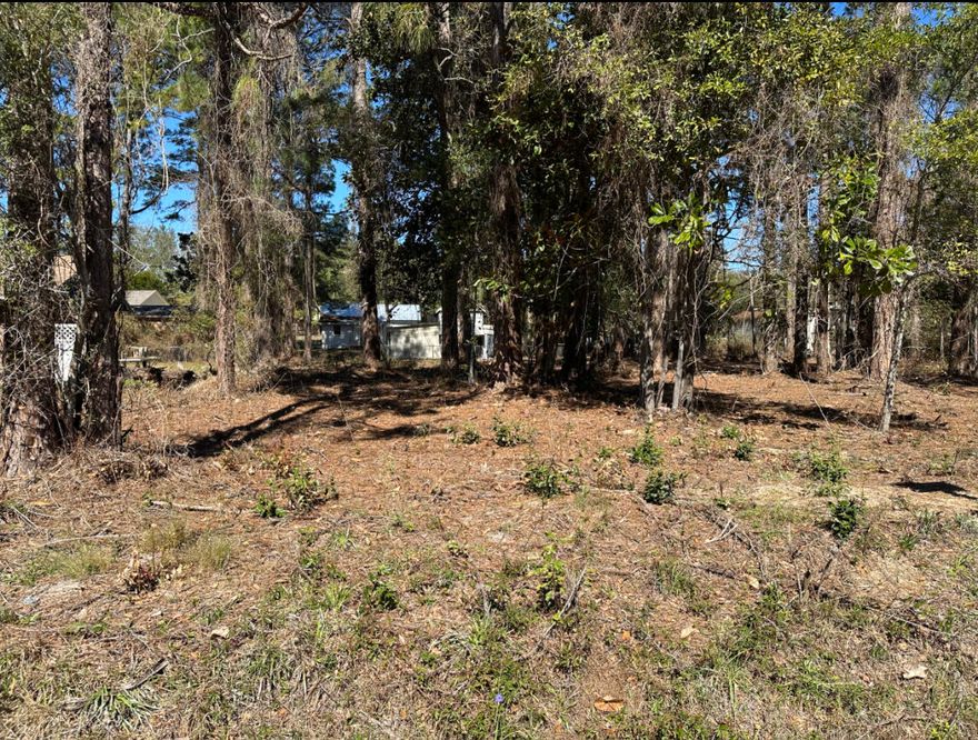 This is lot 25 of lots 24 & 25 with the same parcel ID #.  This lot is high and dry and just minutes away from Bluewater Bay and the Mid Bay bridge with easy access to Destin. To the East is 331 south to beautiful beaches.