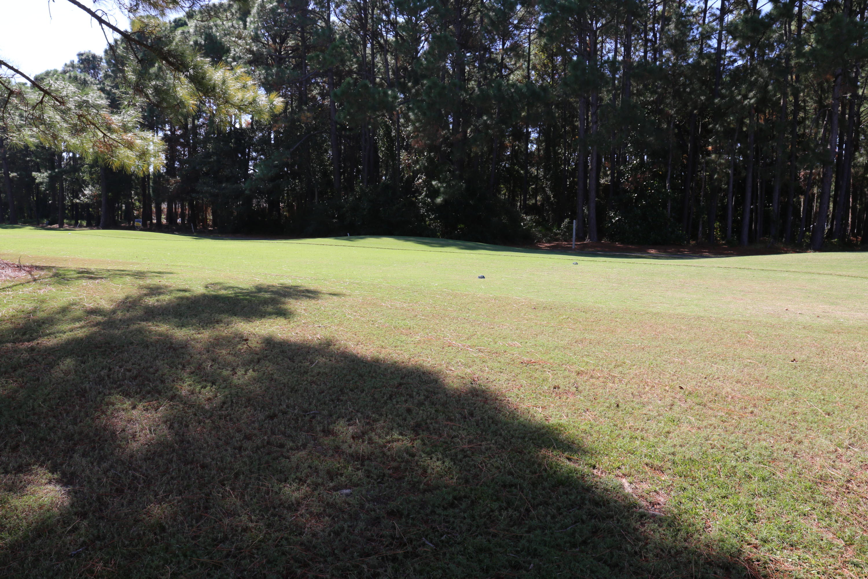 AUGUSTA VILLAGE CONDO - Residential