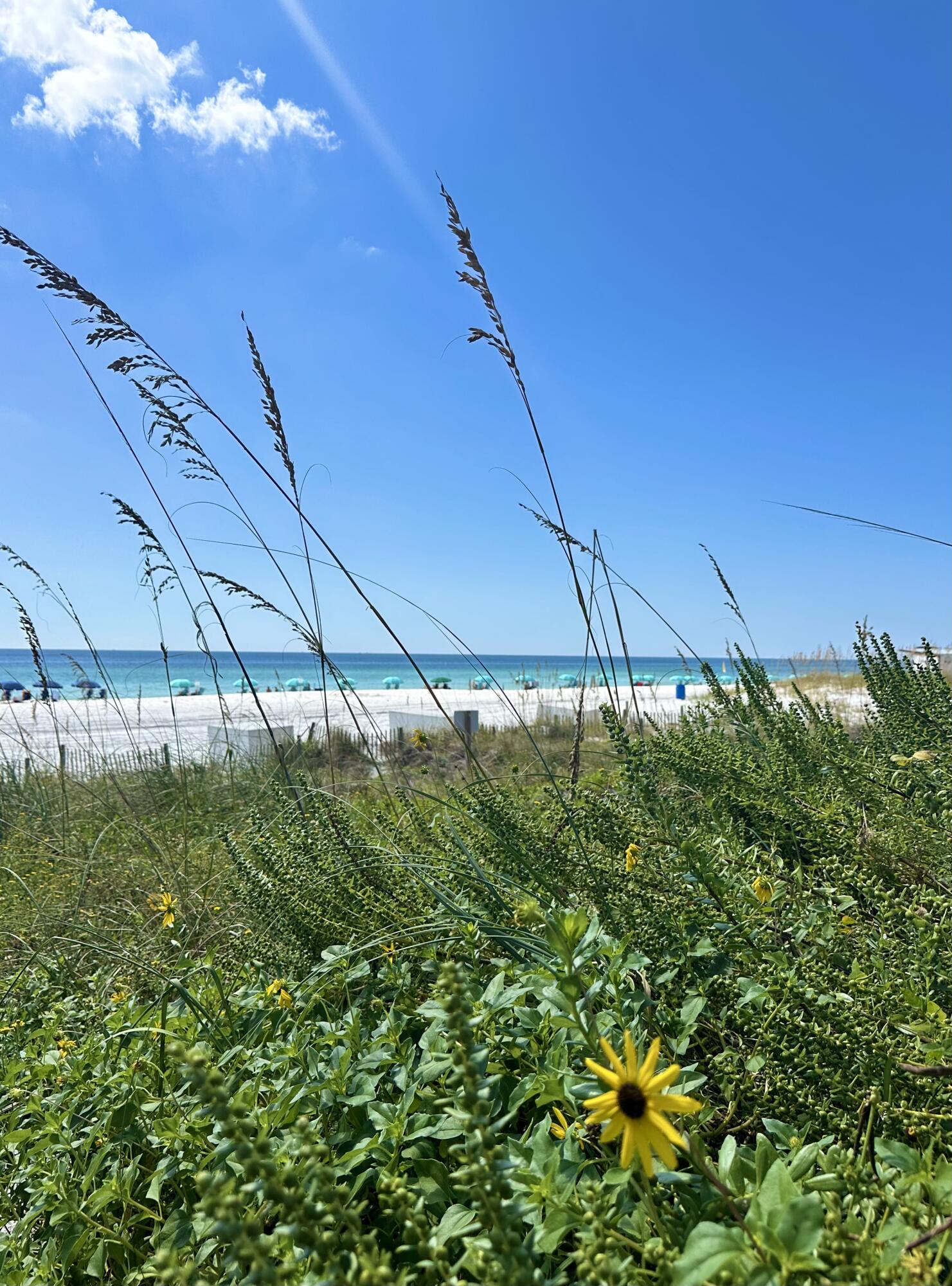 SUNDESTIN INTERNATIONAL CONDO - Residential