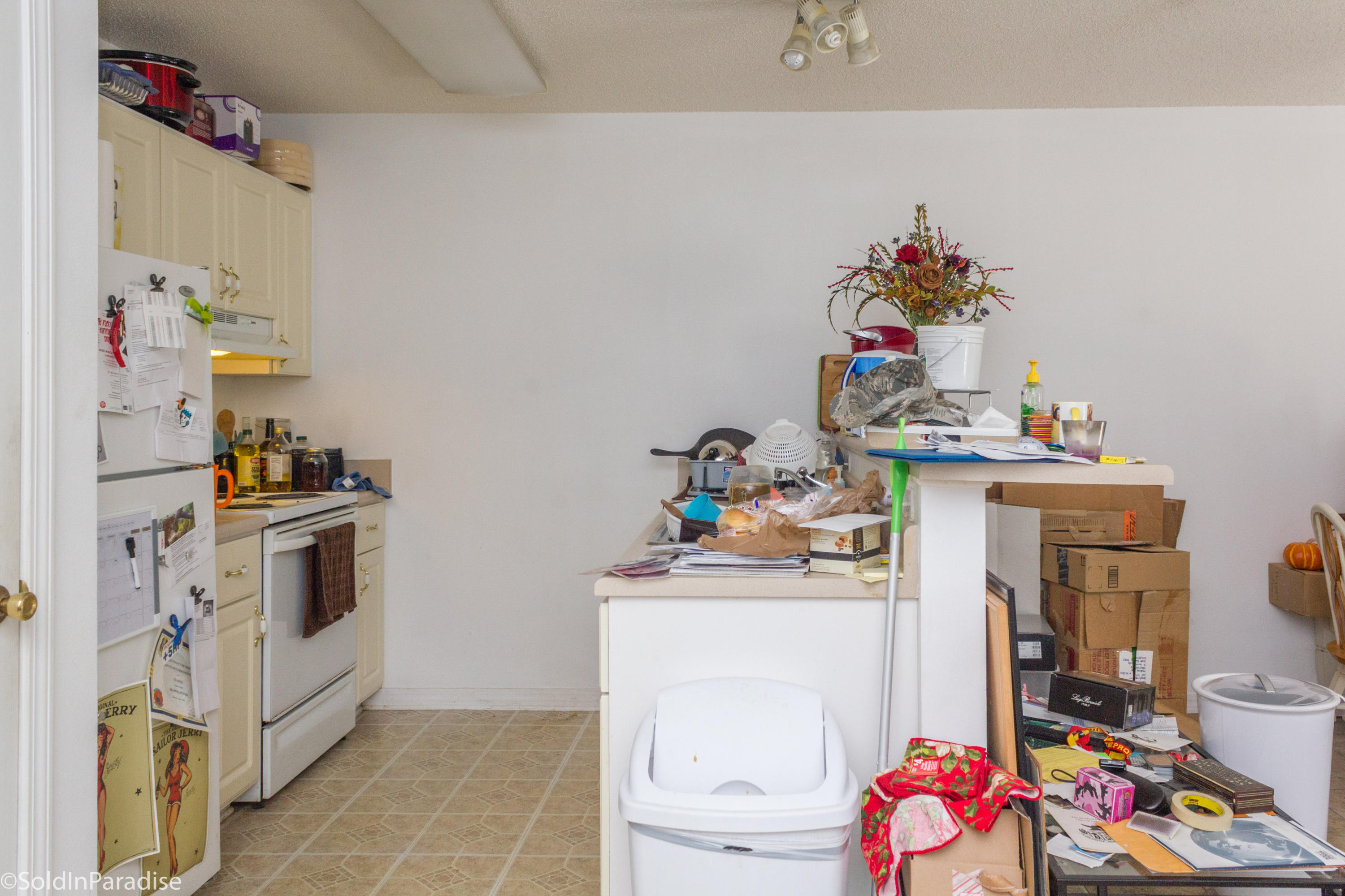 DOMENICAS COVE T/H - Residential