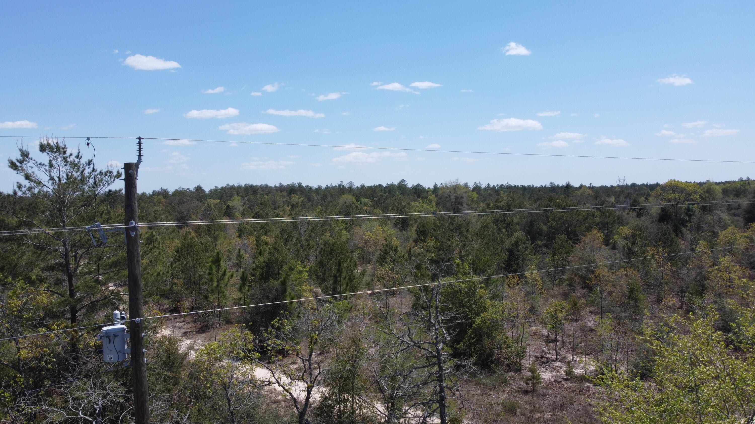 HOLLEY GROVE EAST - Land