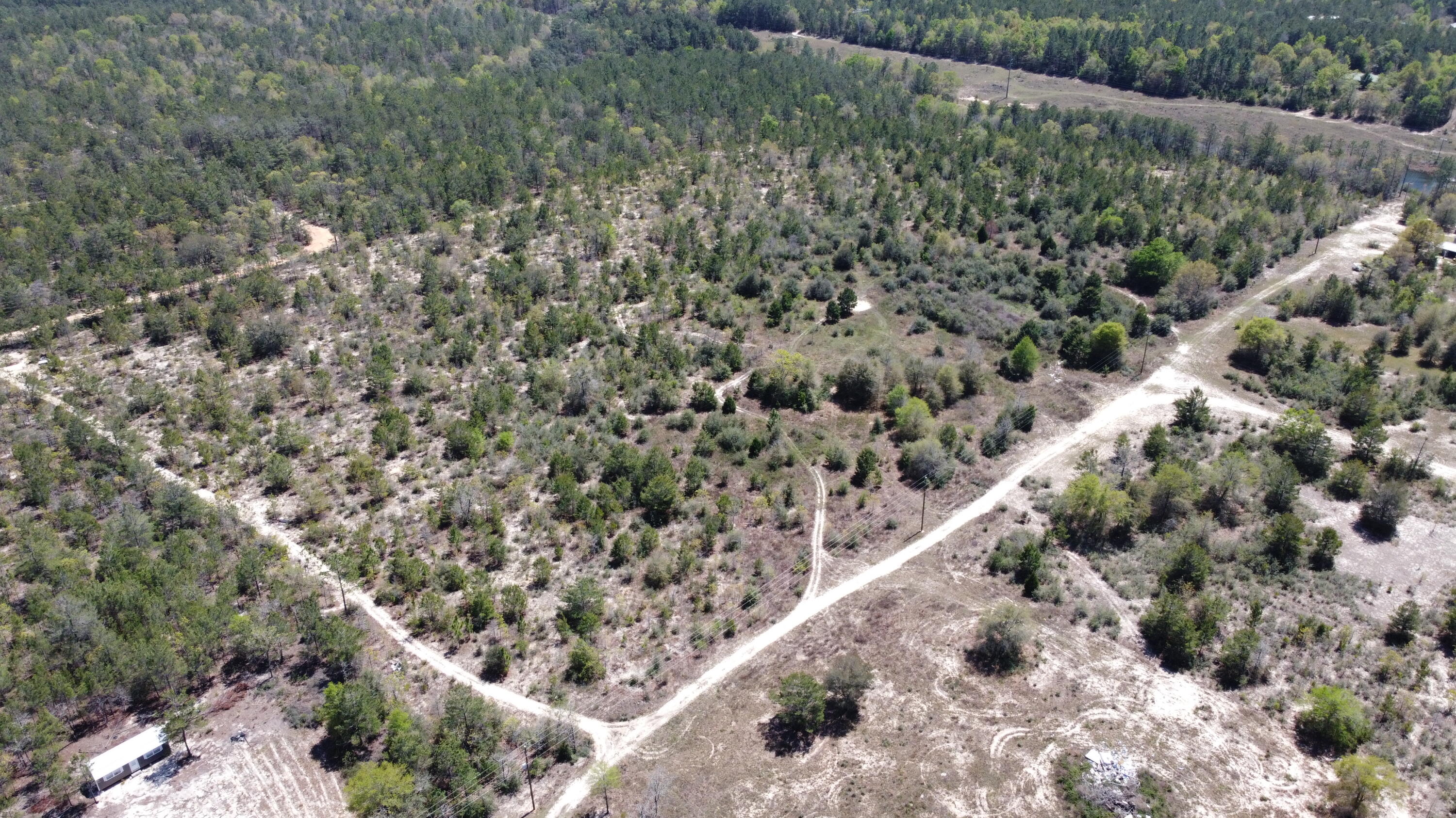 HOLLEY GROVE EAST - Land