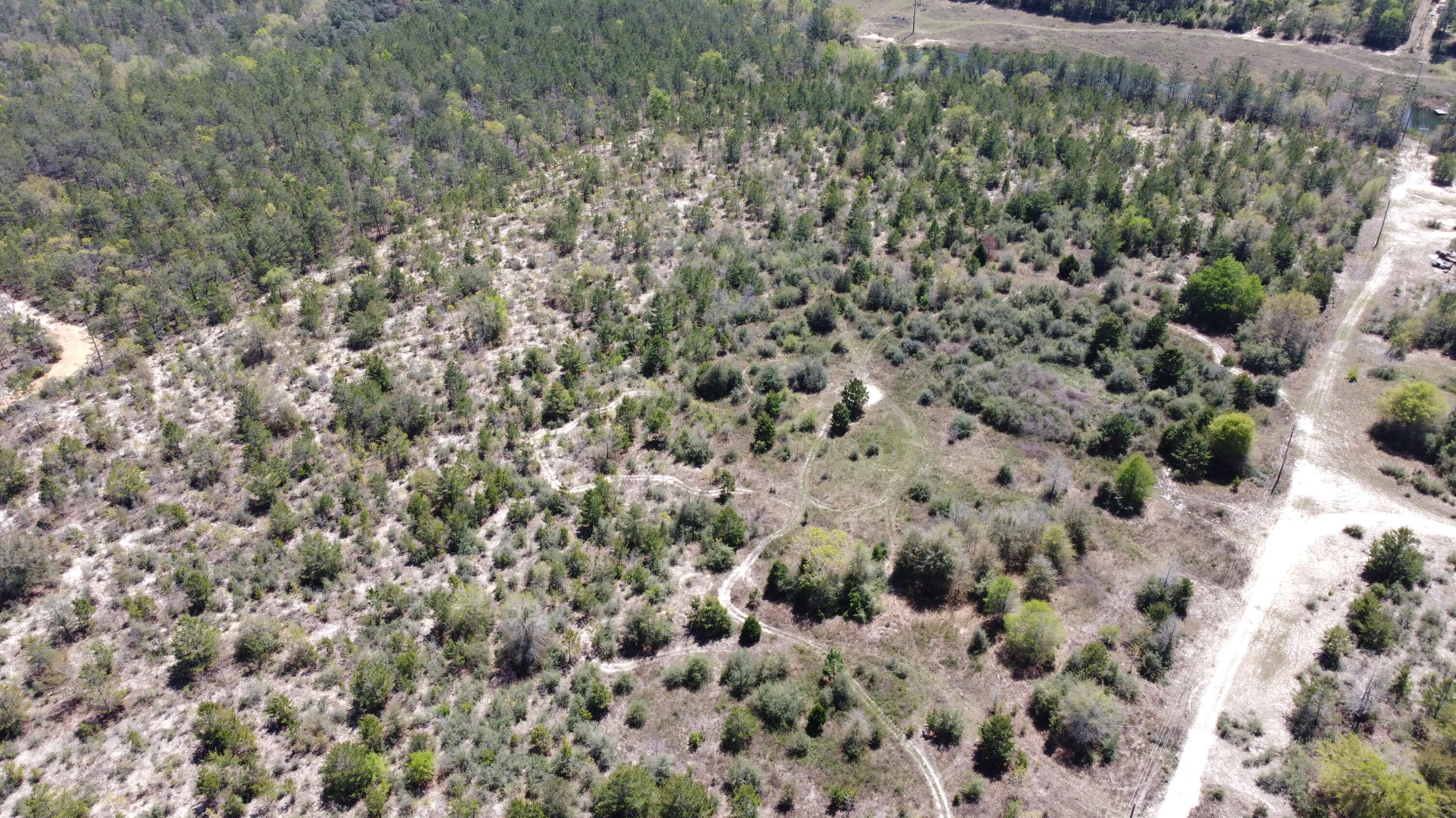 HOLLEY GROVE EAST - Land