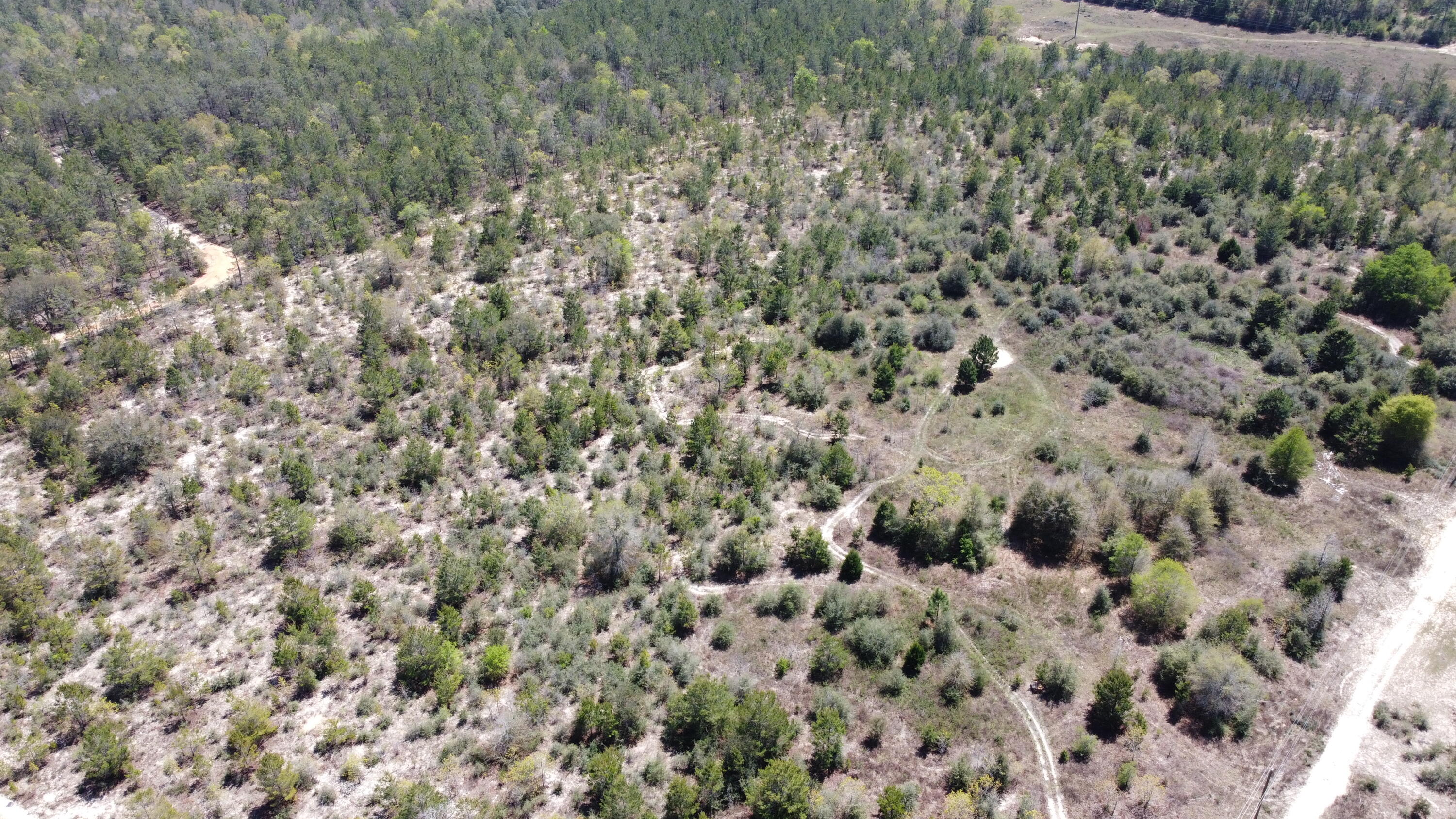 HOLLEY GROVE EAST - Land