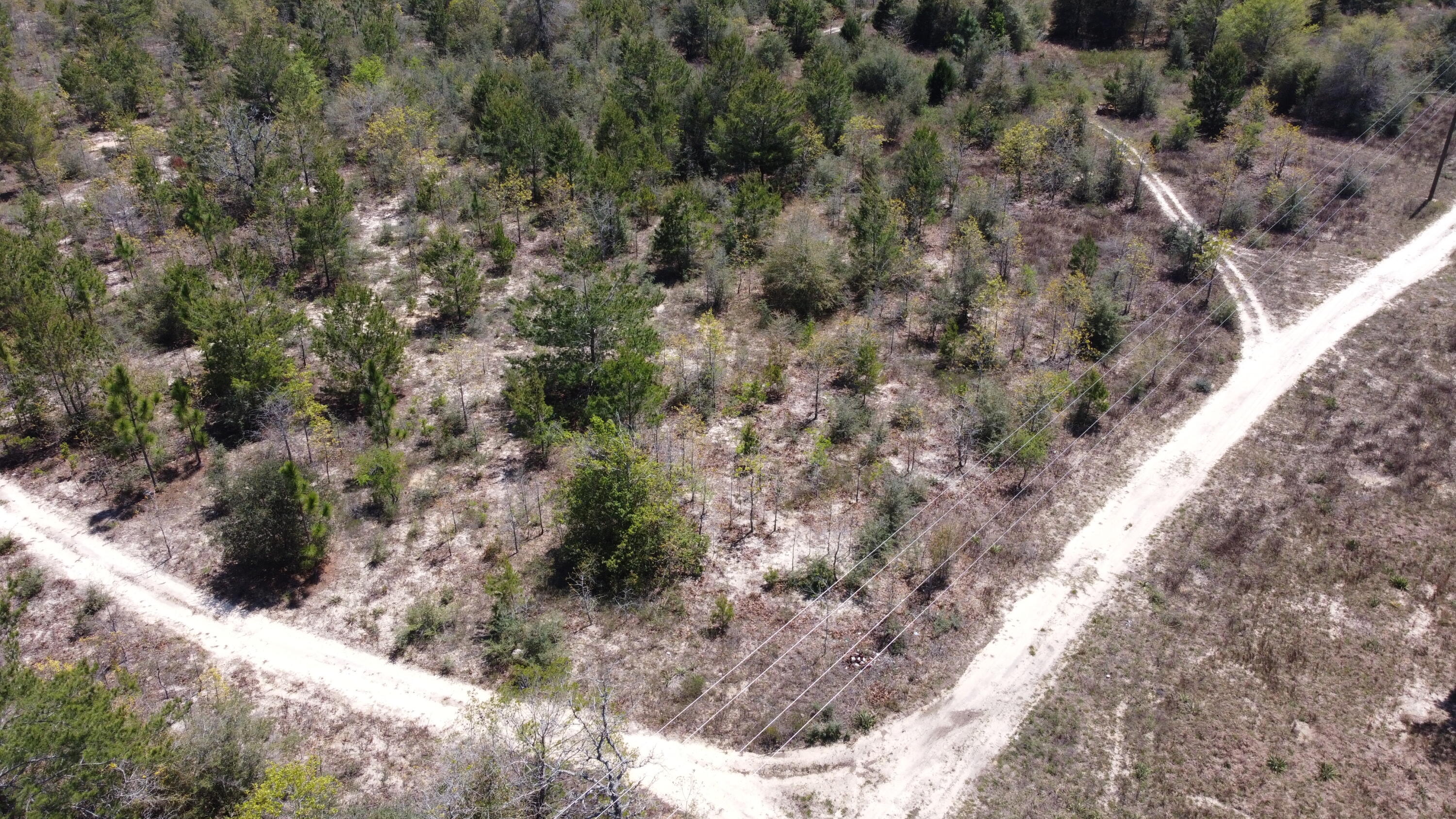 HOLLEY GROVE EAST - Land