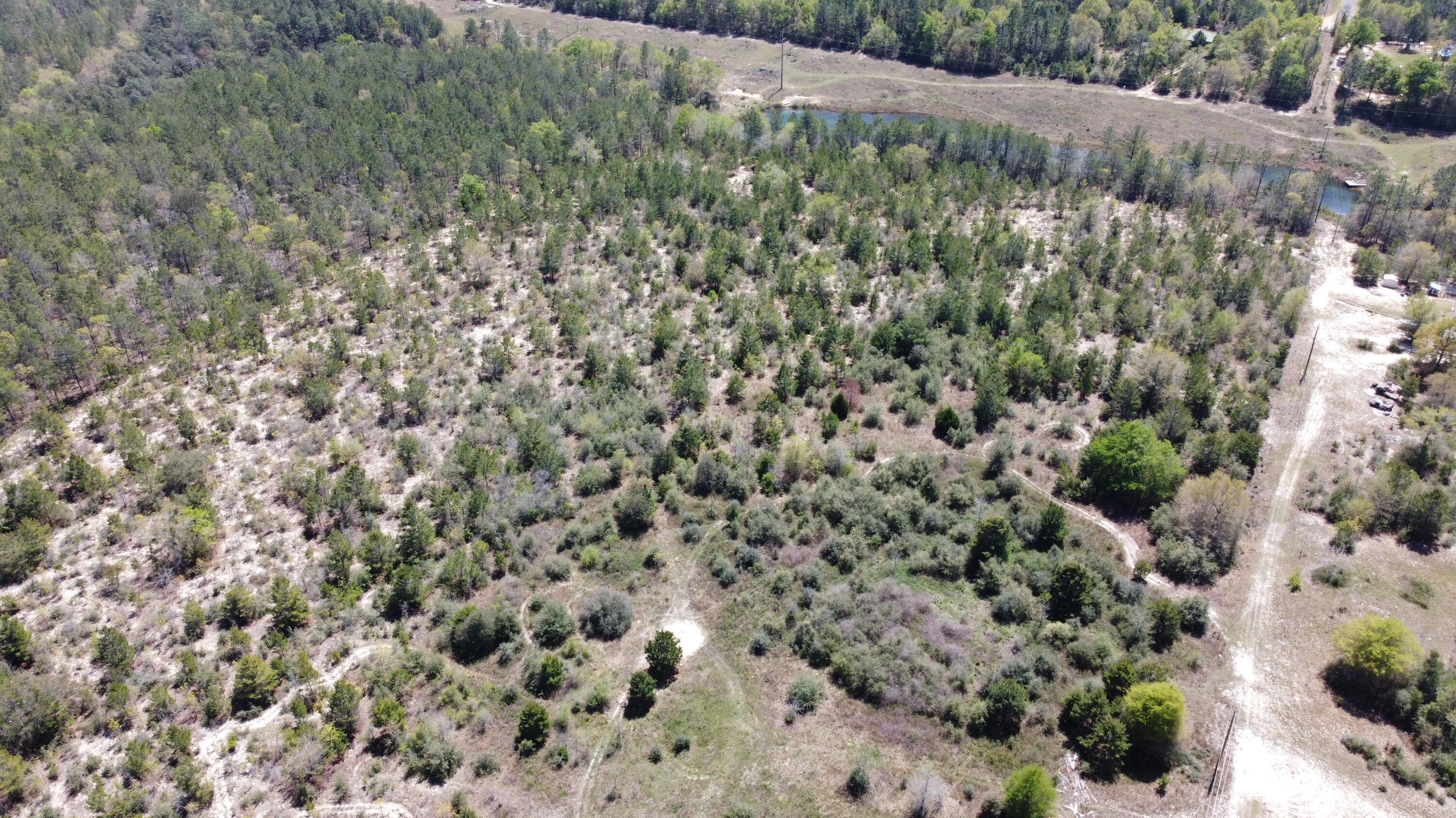 HOLLEY GROVE EAST - Land