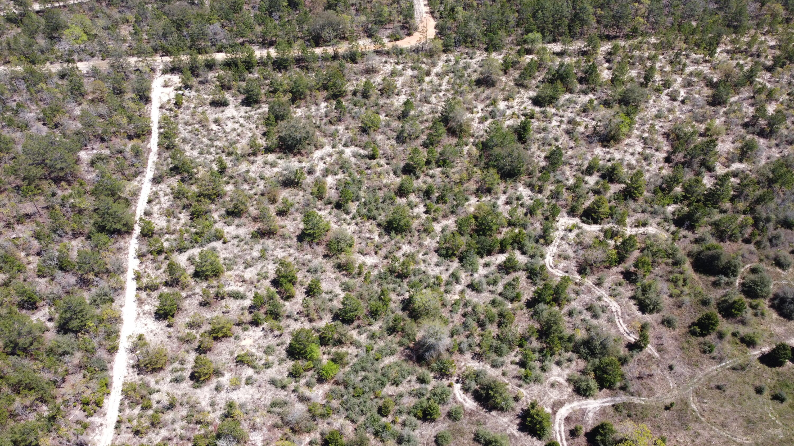 HOLLEY GROVE EAST - Land