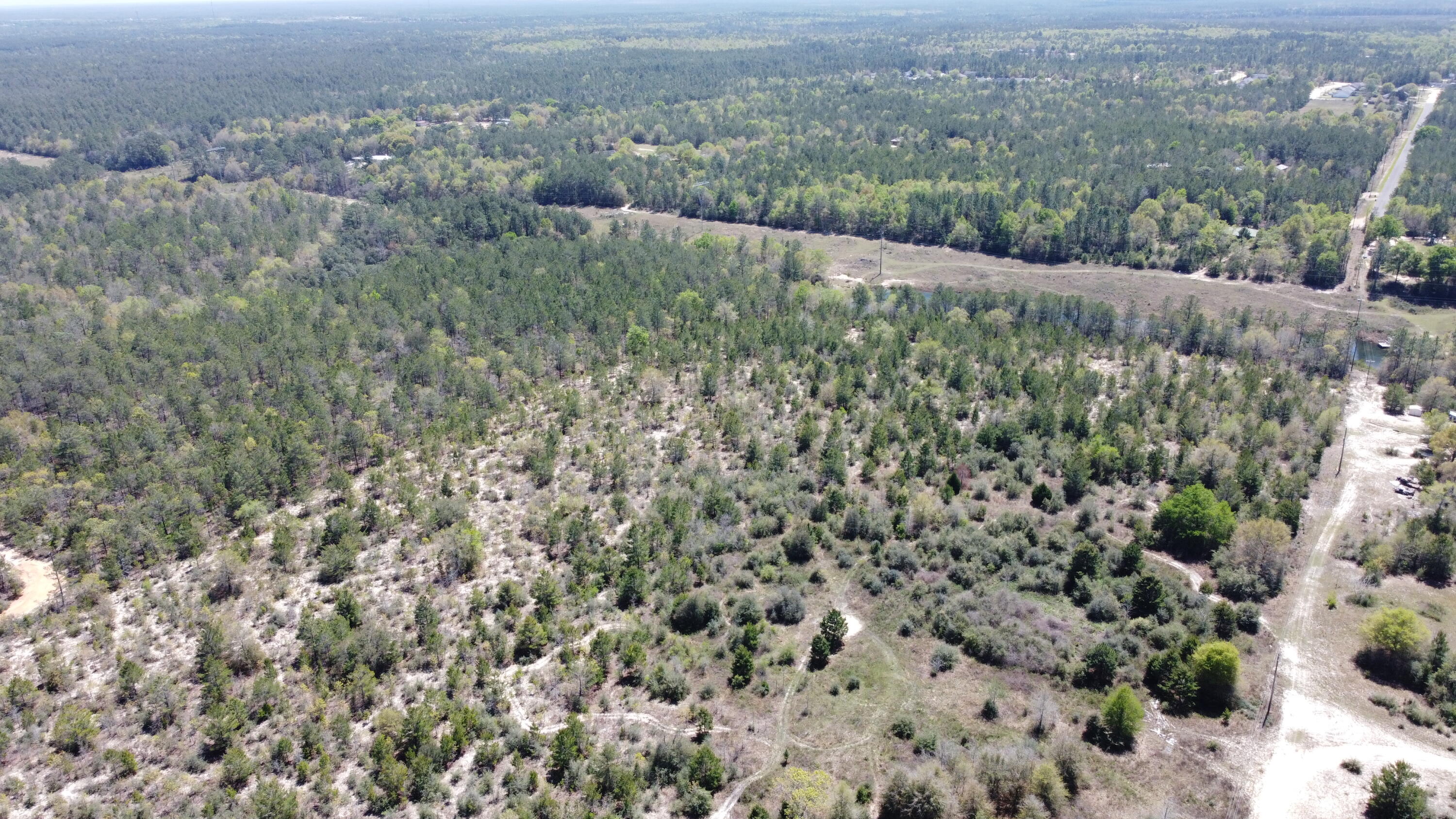 HOLLEY GROVE EAST - Land