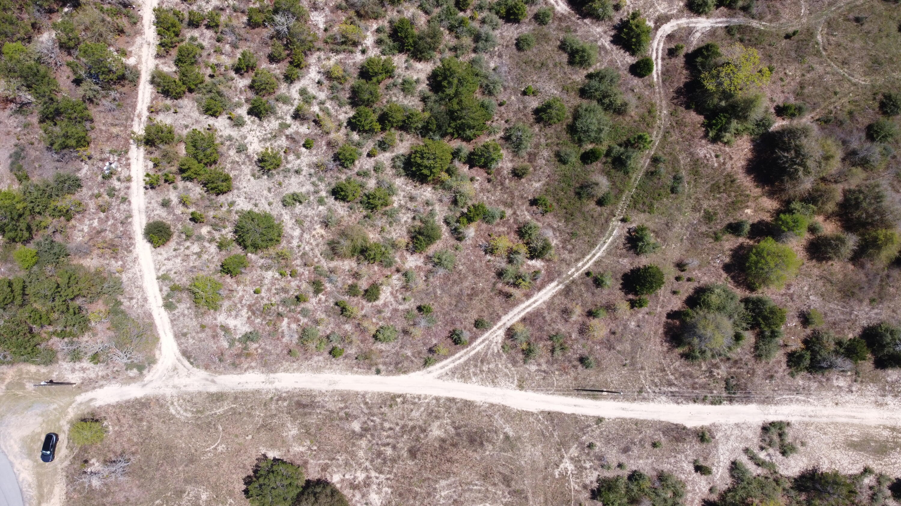 HOLLEY GROVE EAST - Land