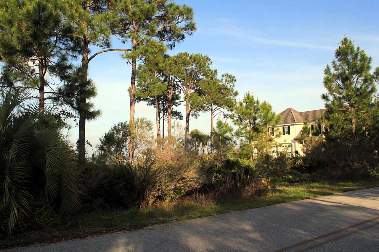 DRIFTWOOD ESTATES - Land