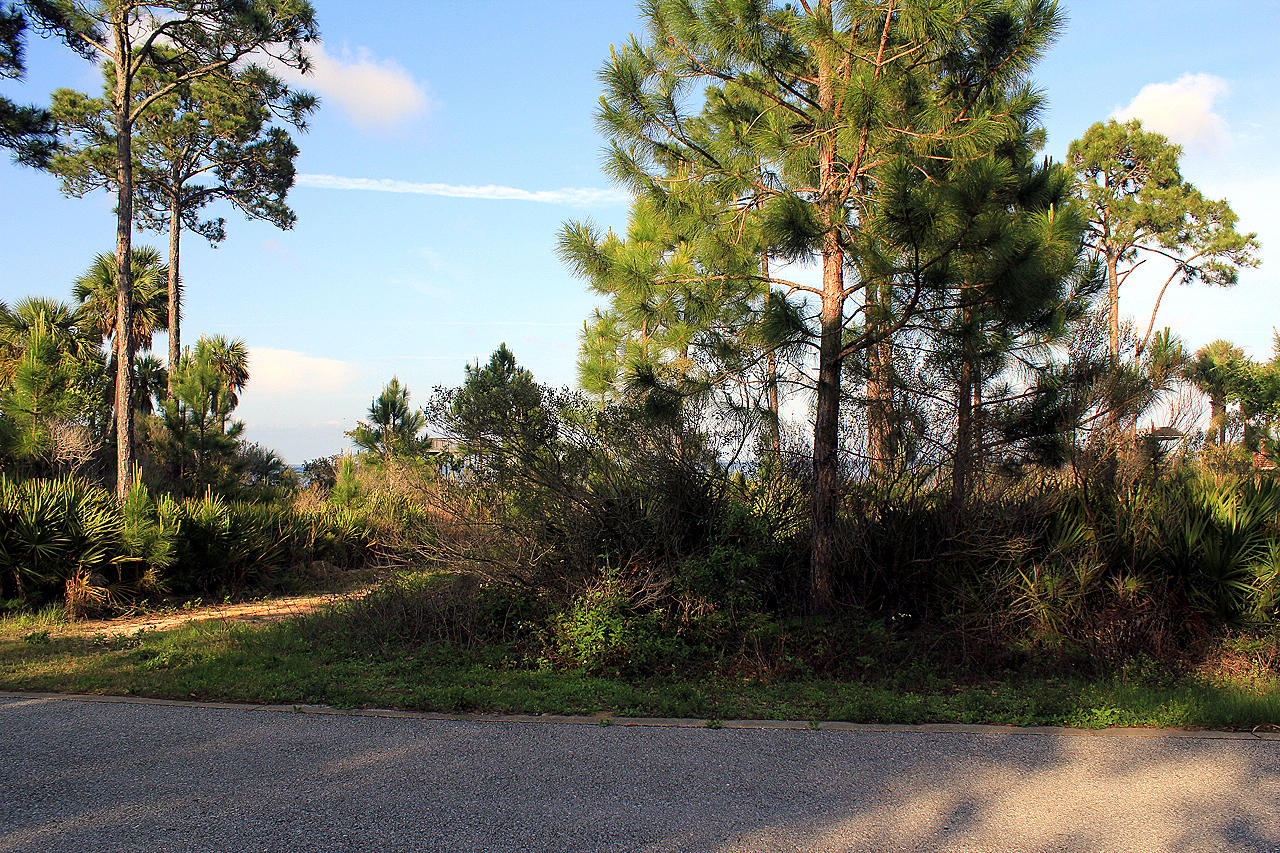 DRIFTWOOD ESTATES - Land