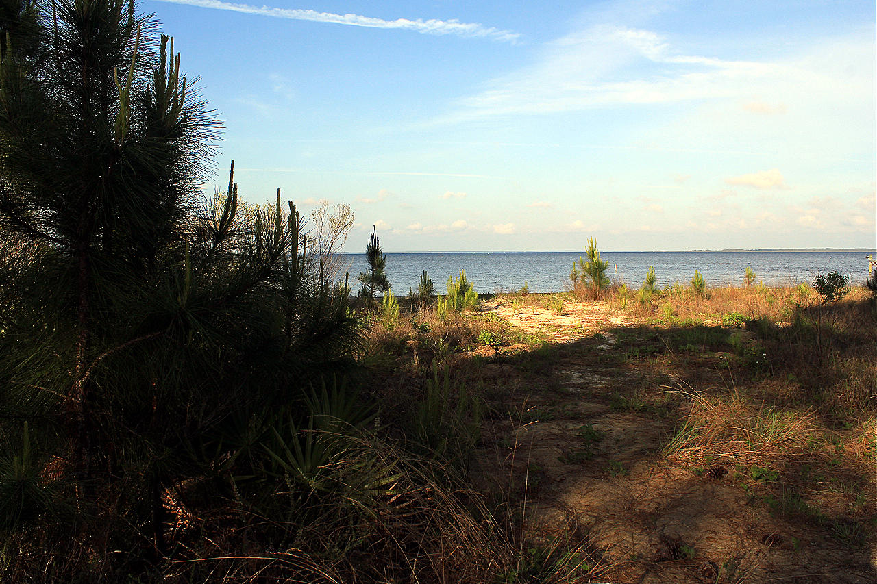 DRIFTWOOD ESTATES - Land