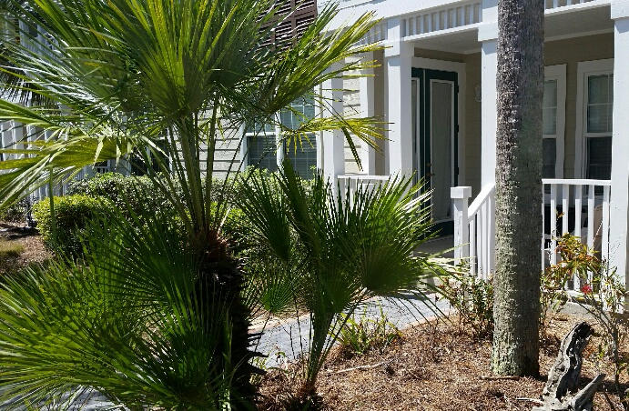 VILLAGE AT BLUE MOUNTAIN BEACH - Residential