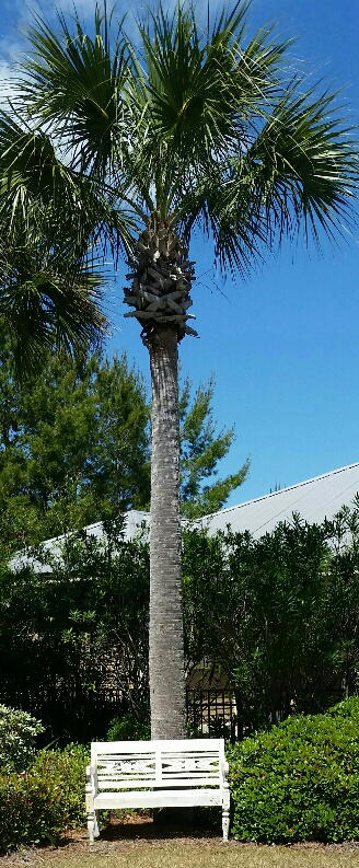 VILLAGE AT BLUE MOUNTAIN BEACH - Residential