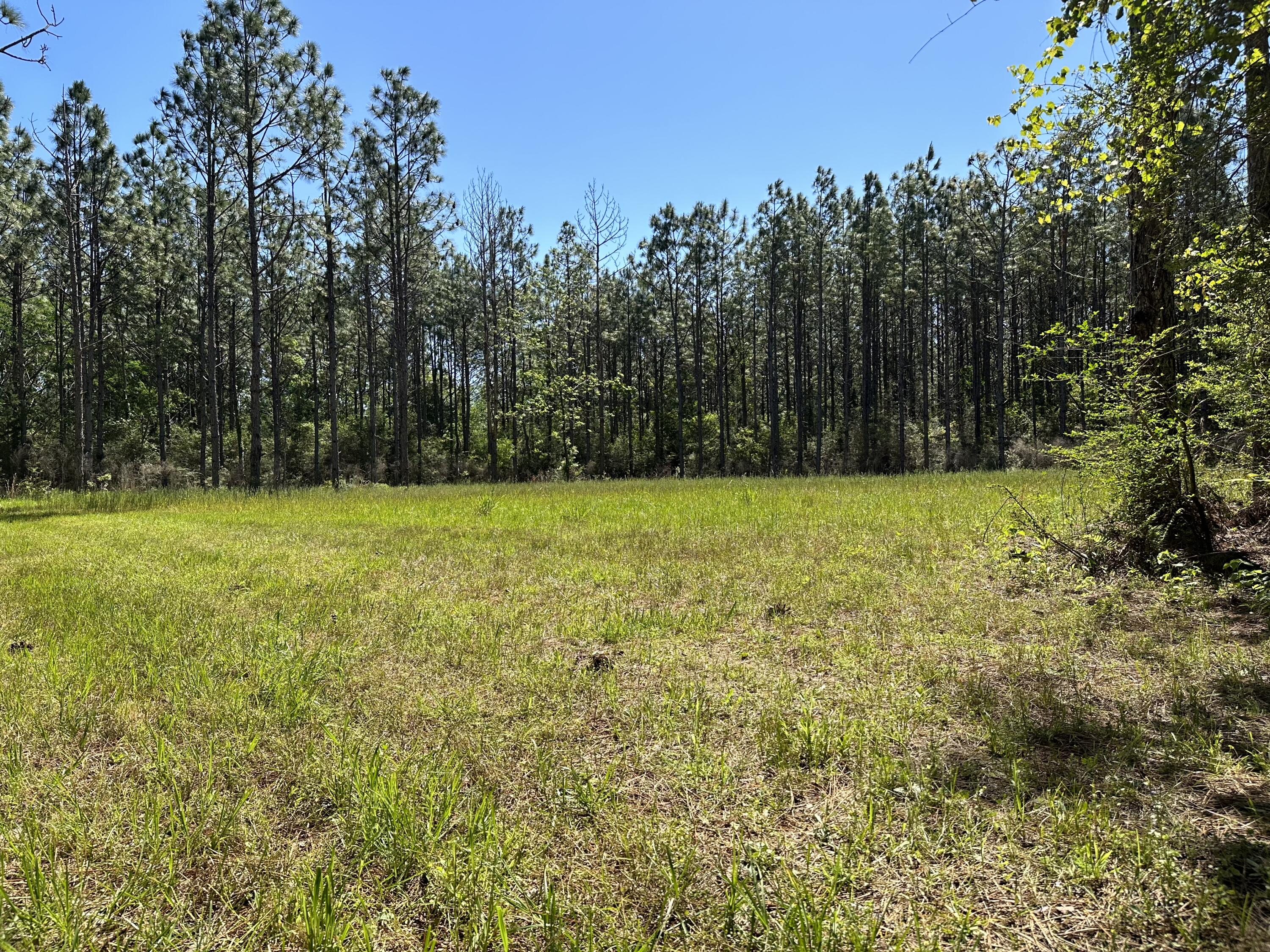 DeFuniak Springs - Land