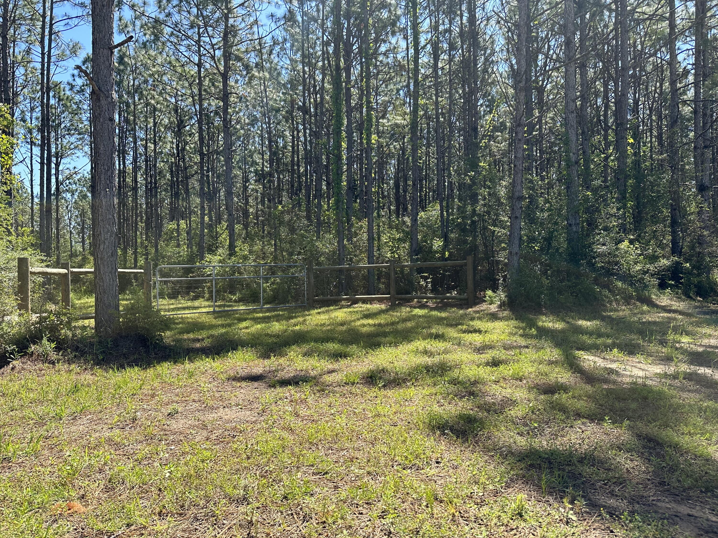 DeFuniak Springs - Land