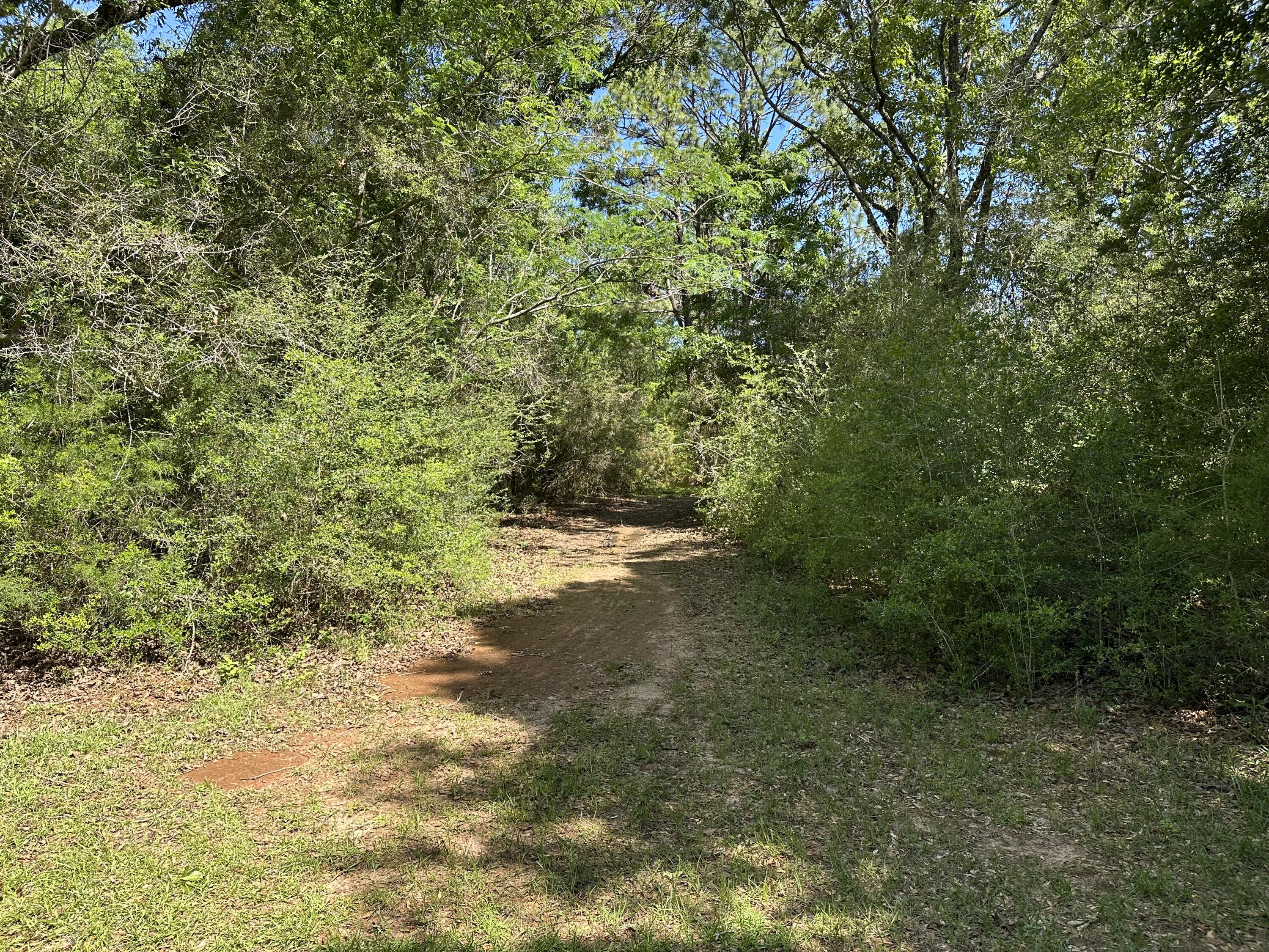DeFuniak Springs - Land