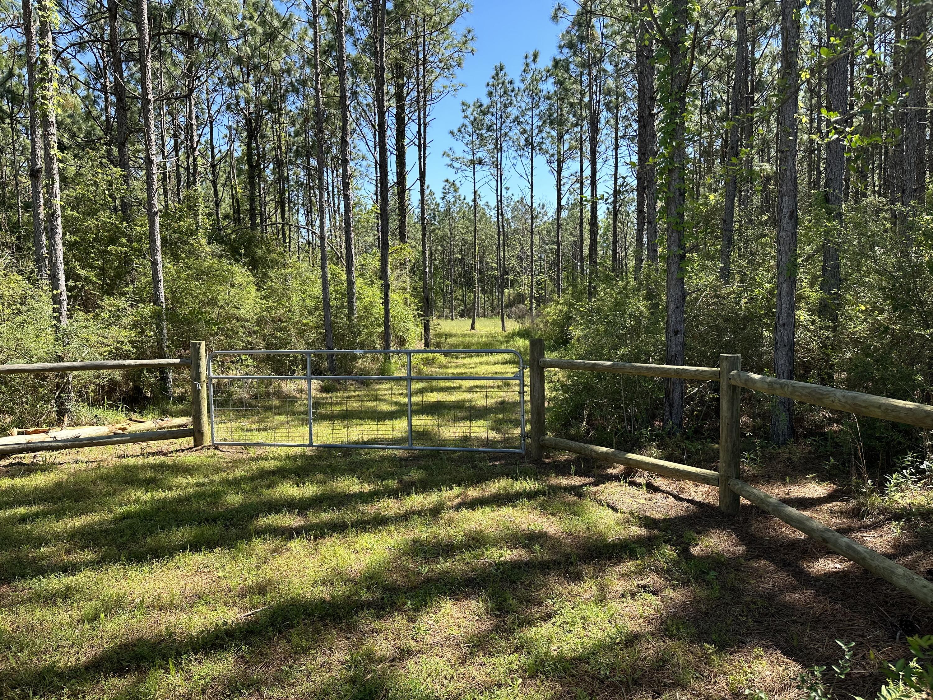 DeFuniak Springs - Land