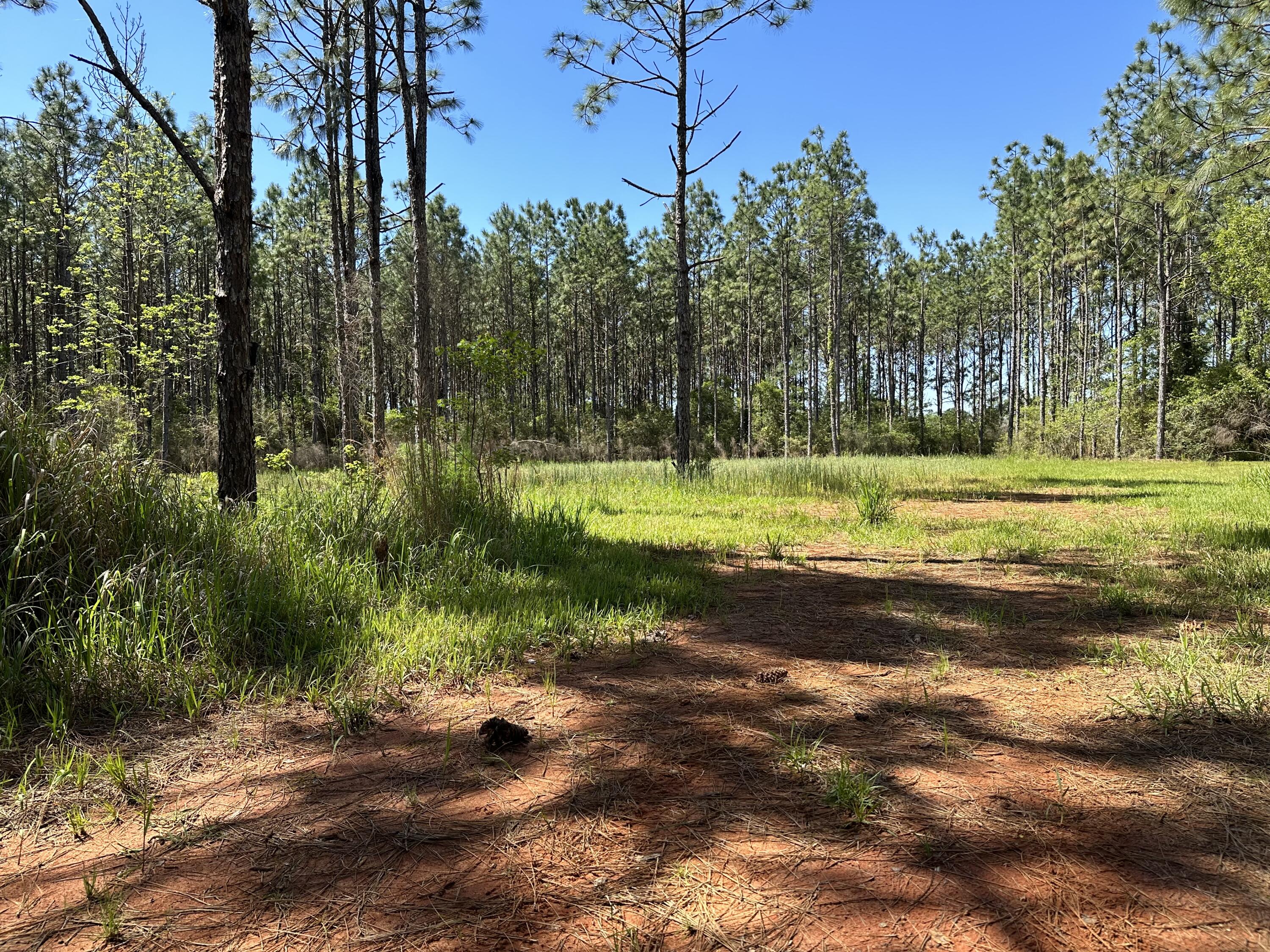 DeFuniak Springs - Land