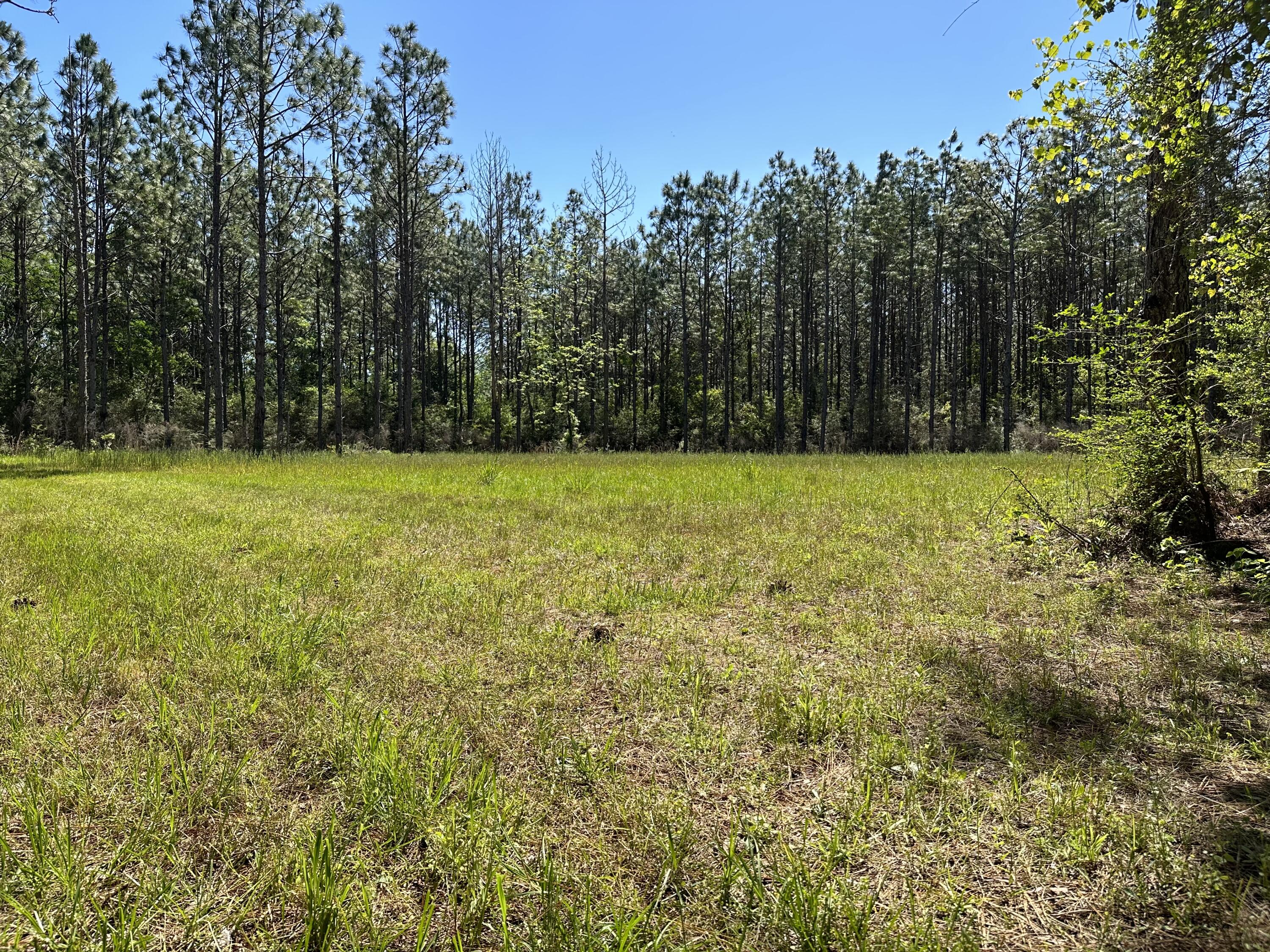 DeFuniak Springs - Land