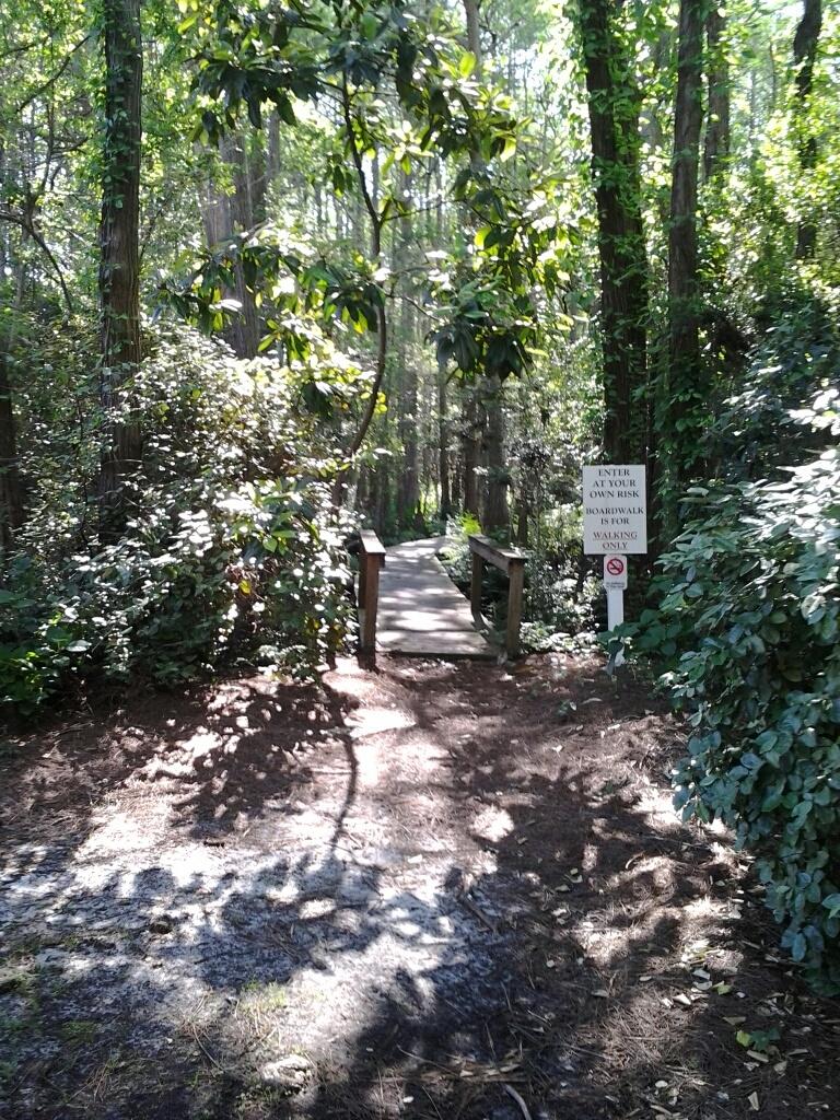 CASSINE GARDEN - Residential