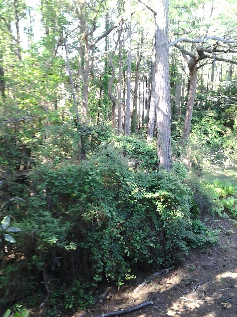 CASSINE GARDEN - Residential