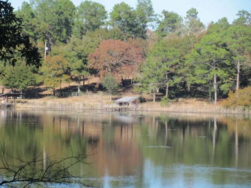 Beautiful 3 +/- acres on King Lake! This parcel is located on a dead-end paved street, in a highly desirable location. Once the location of a home site, there is electric, a septic tank and well on the property. Seller does not warrant the utilities, but they do exist. A storage shed is also located on the property. This property is partially cleared and there are also trees on the property for privacy. If you are looking for a beautiful, waterfront lot, look no further! Don't miss out! Call today for your tour!