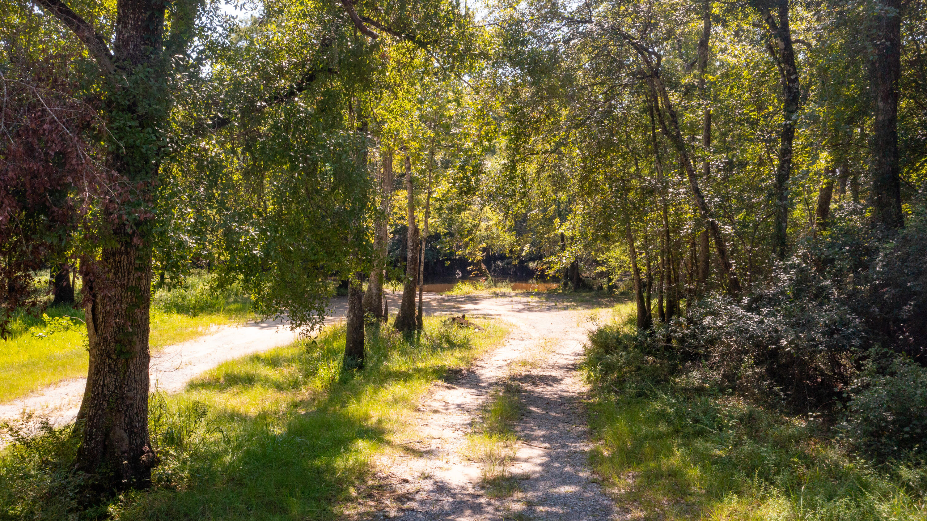 Retreat Inlet - Land
