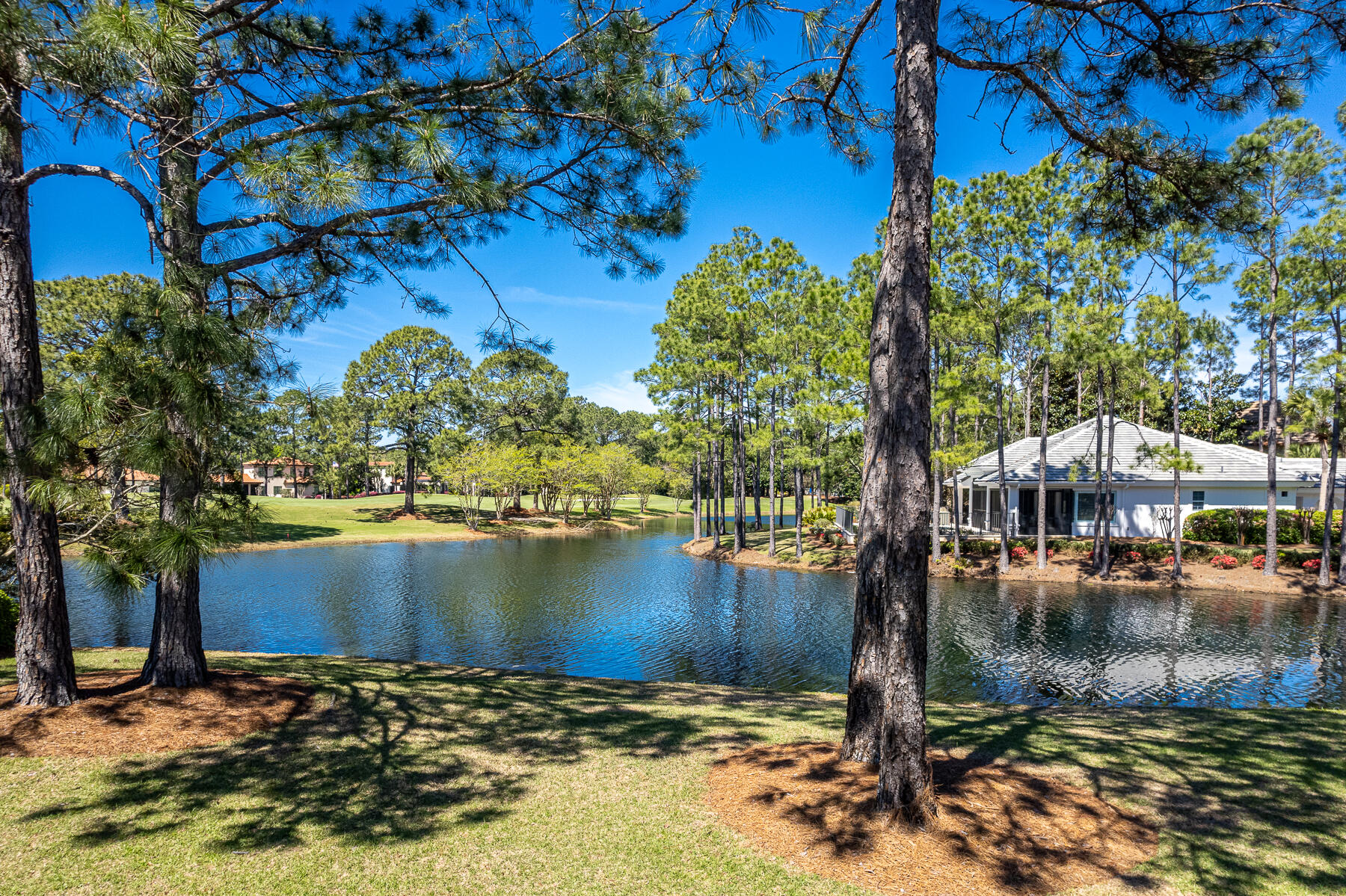 ISLAND GREEN - Residential
