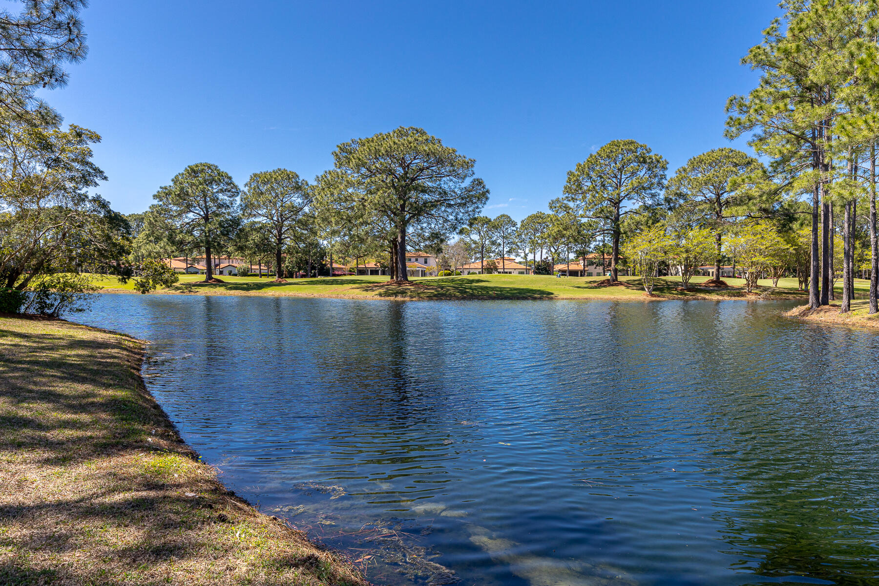 ISLAND GREEN - Residential
