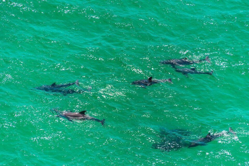 BEACHSIDE VILLAS CONDO - Residential