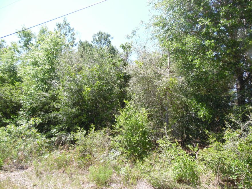 Beautiful corner 1 acre wooded lot appx . Perfect location for a new home or manufactured home. Wooded and level with community water available. Very close to town and near Lake Juniper. Lot dimensions subject to an up-to-date survey.
