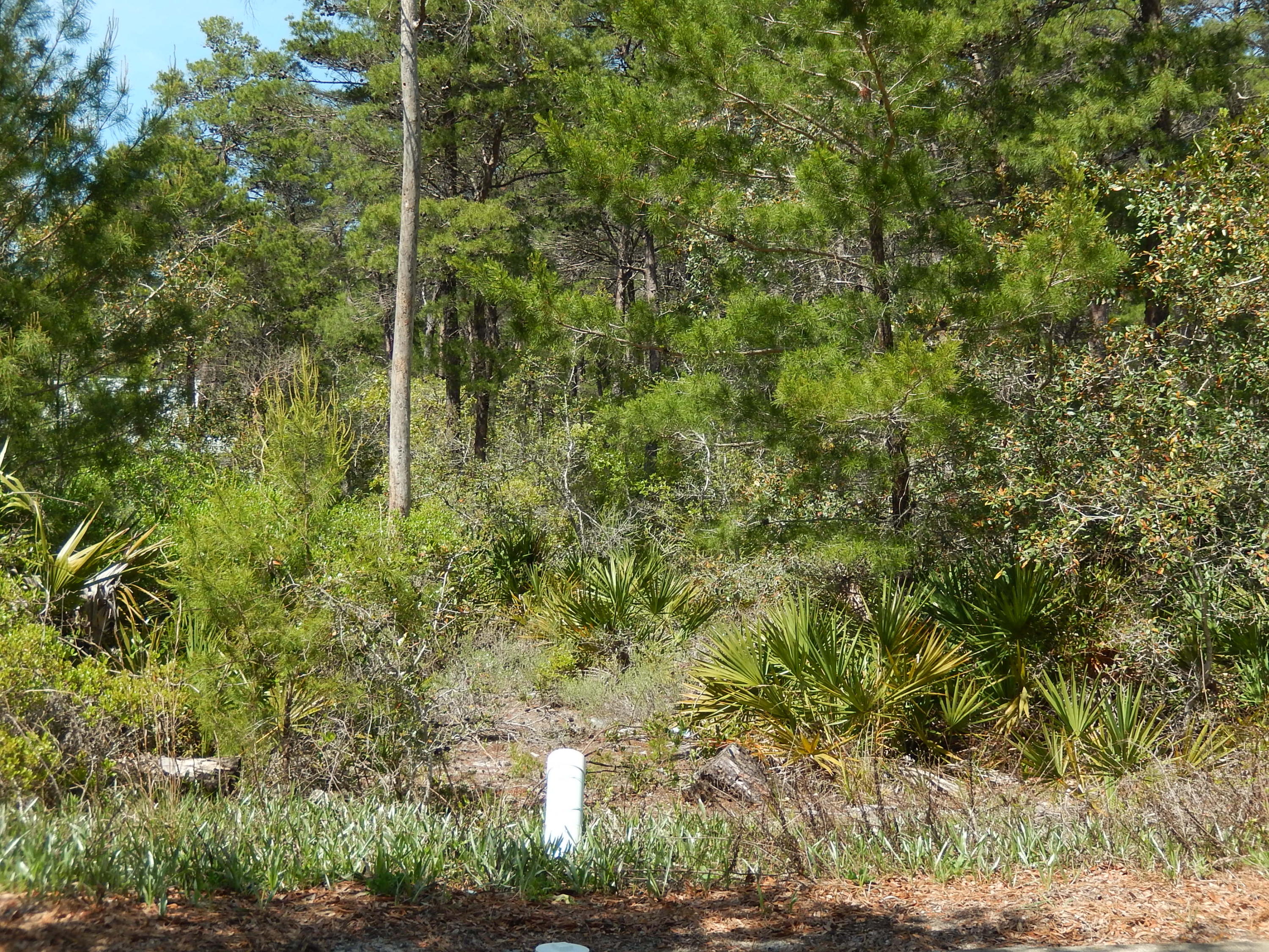 GREENWAY PARK - Land