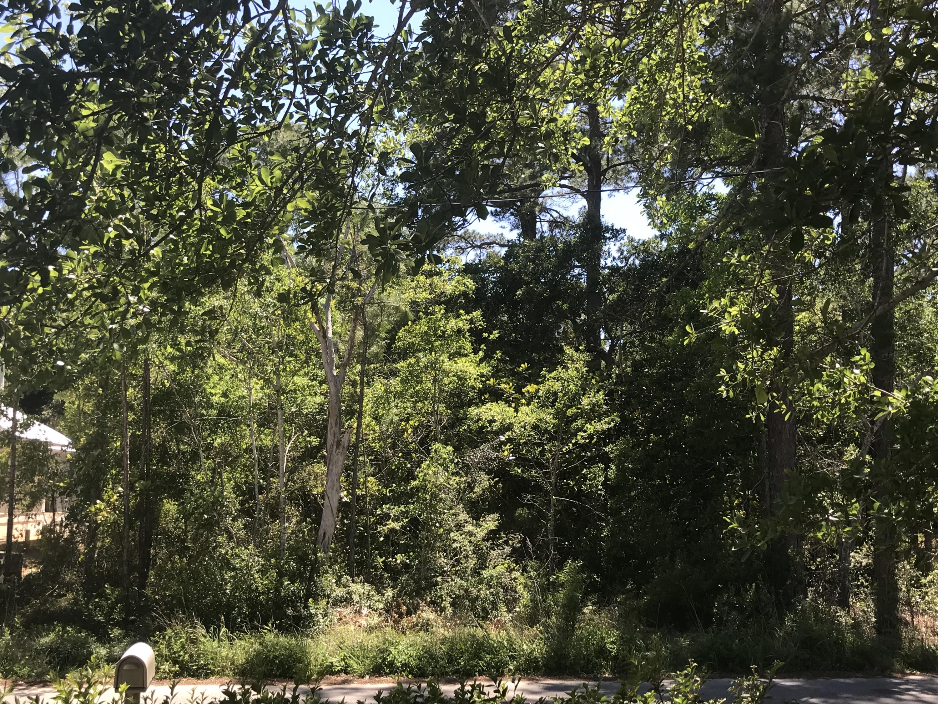 SANTA ROSA BEACH ESTATES - Land