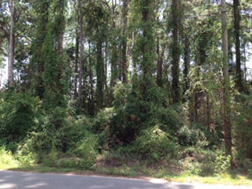 Build here and have a home with Bay Views! Wooded 75x150 lot located across the street from Choctawhatchee Bay in beautiful and historic Point Washington. The south of the bay neighborhood is free of any HOA dues. No build out time. A nearby boat launch is nearby, a few blocks away at Days Lane. The gulf at Grayton Beach is just minutes away, about 3.5 miles south on Hwy 283 and you are at the beach! Grayton Beach also offers great restaurants with lively entertainment. Water and sewer are available. Tap fee due.
