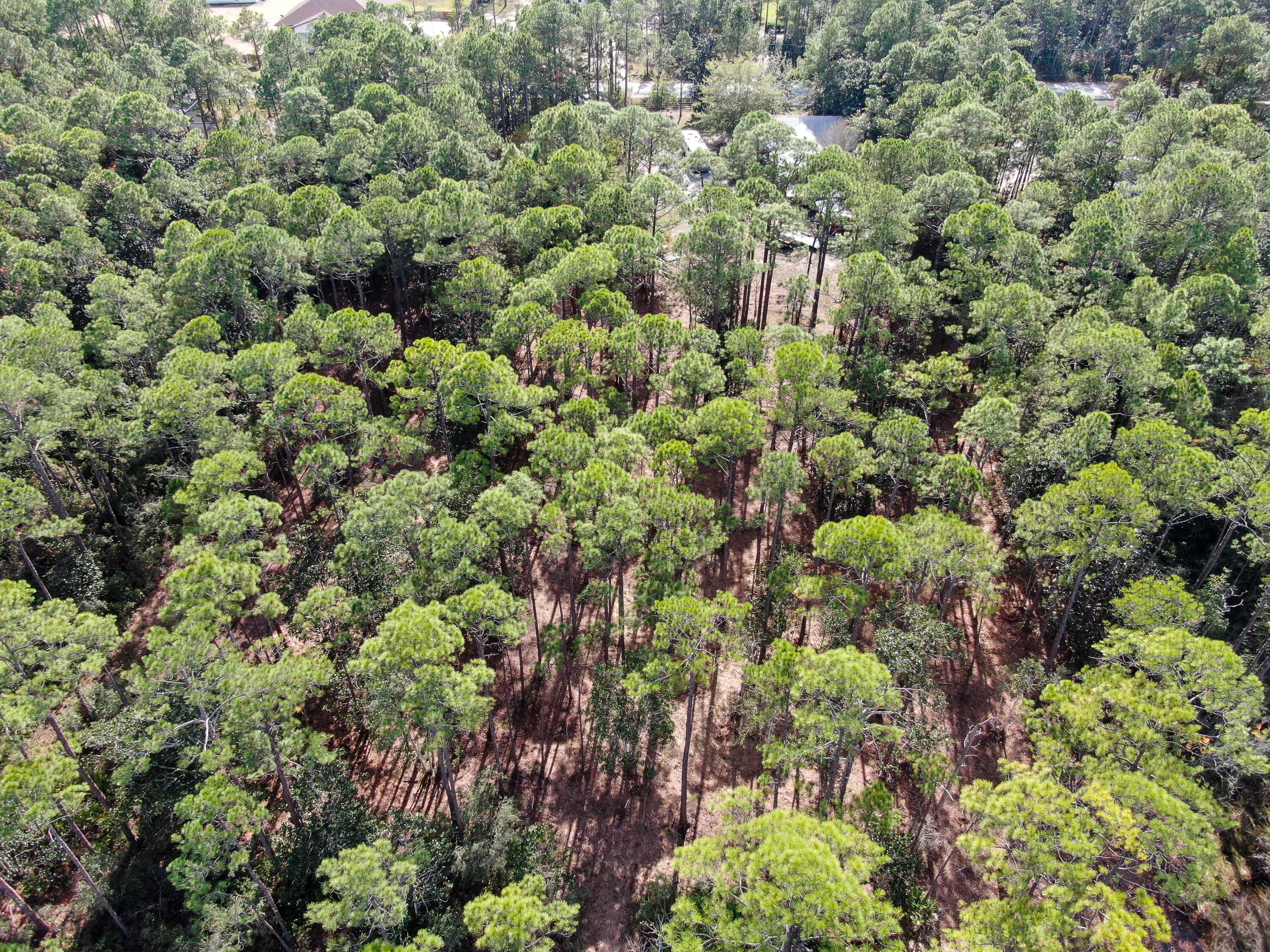 NO RECORDED SUBDIVISION - Land