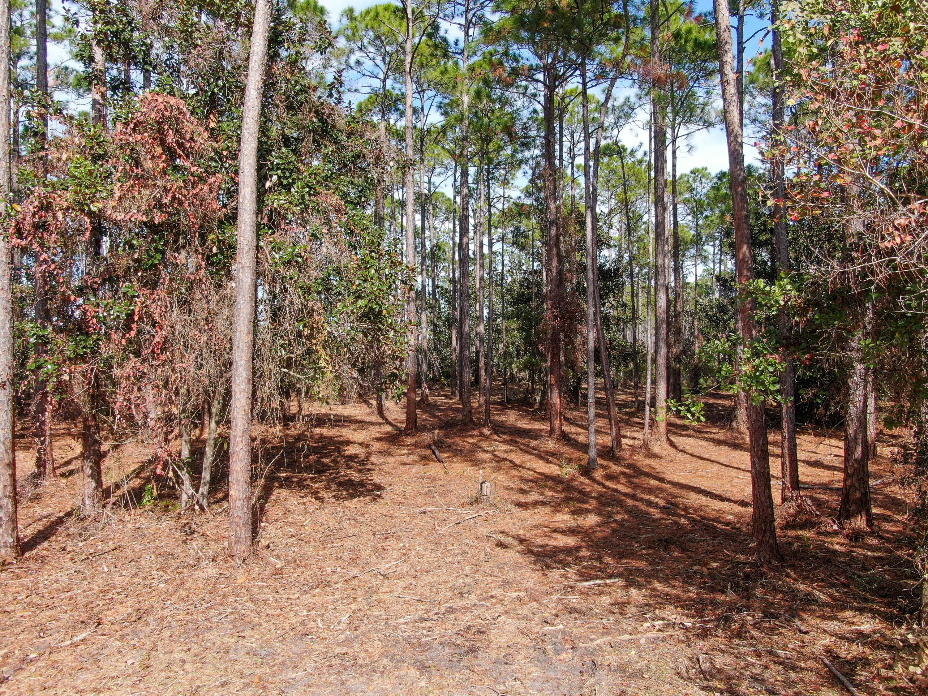 NO RECORDED SUBDIVISION - Land